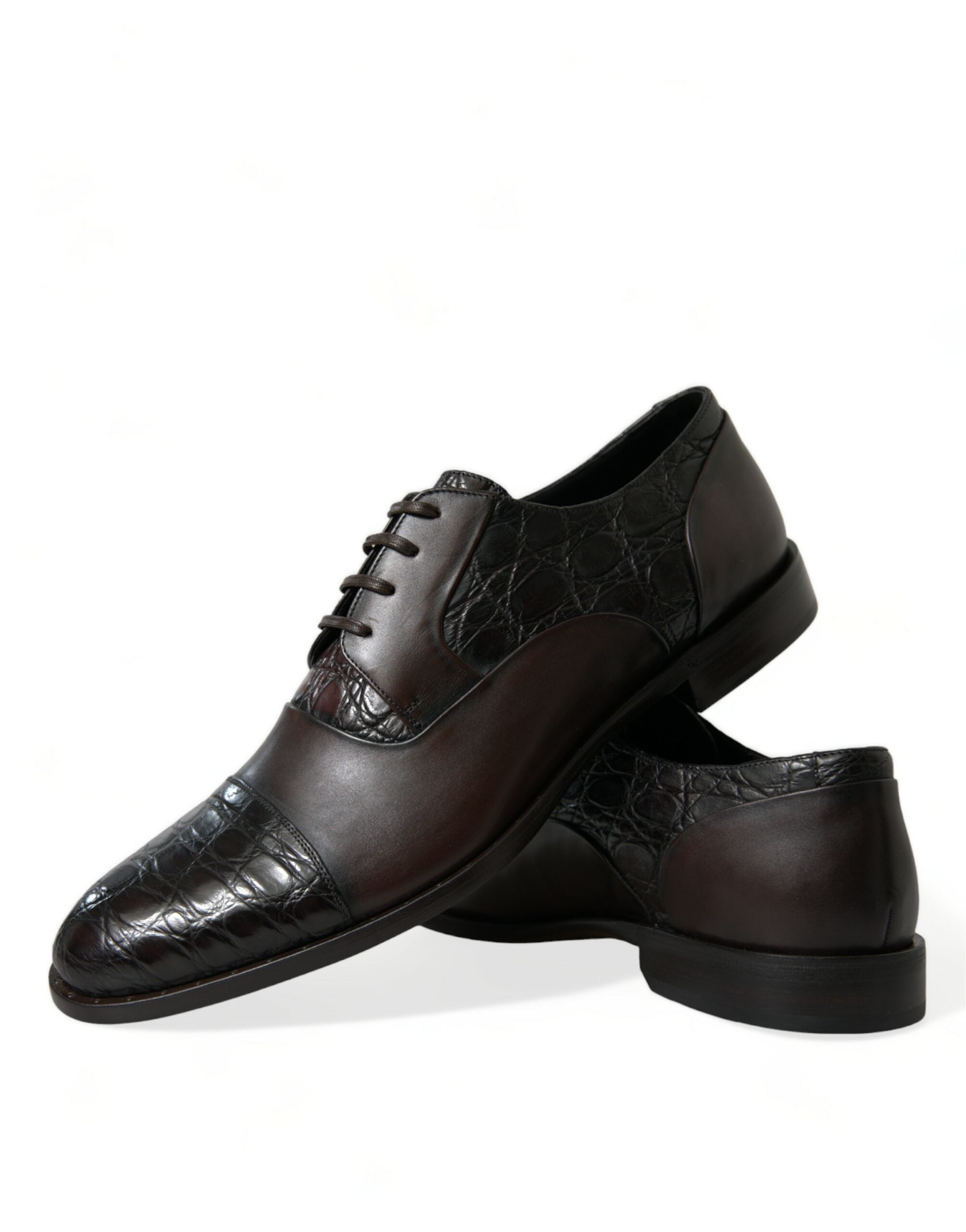 Dolce & Gabbana Elegant Brown Formal Derby Dress Shoes LUNESCAPE