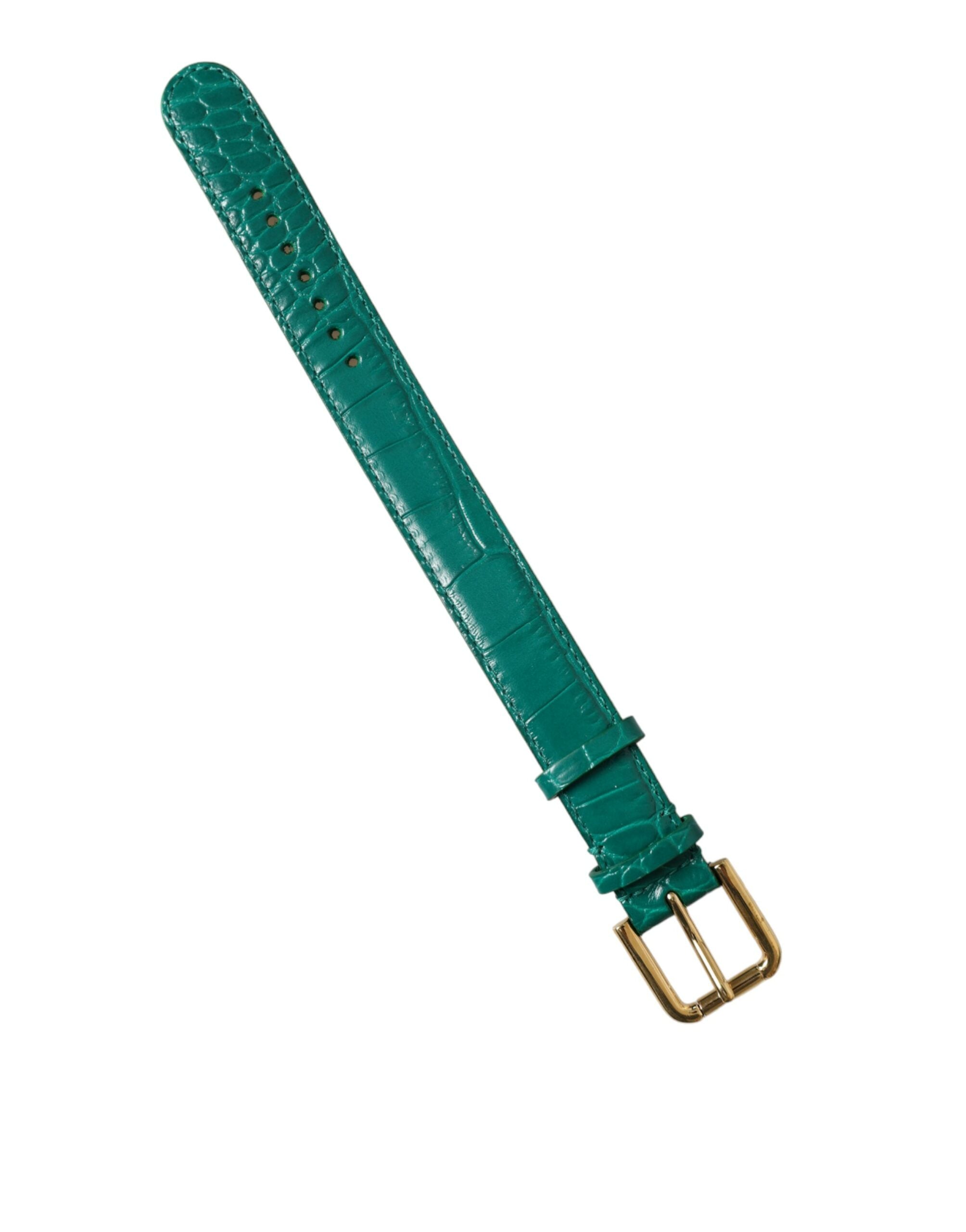 Dolce & Gabbana Elegant Green Leather Neck Band LUNESCAPE
