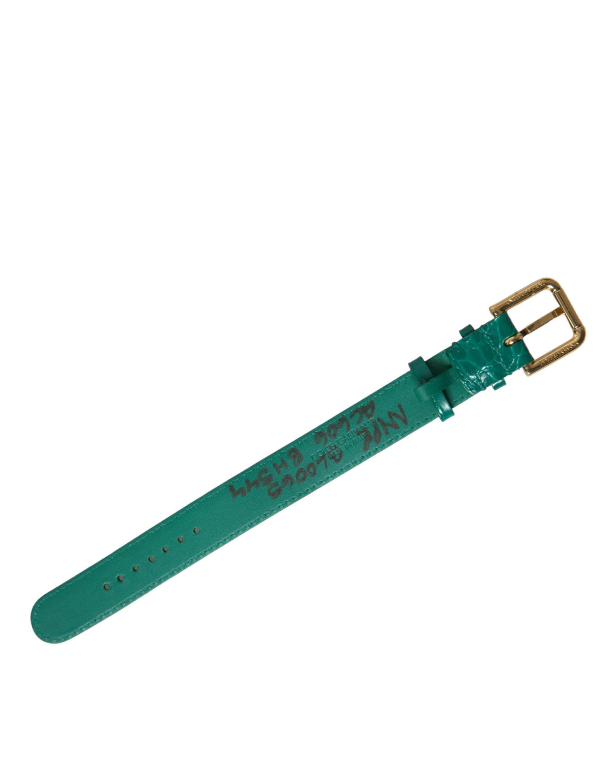 Dolce & Gabbana Elegant Green Leather Neck Band LUNESCAPE