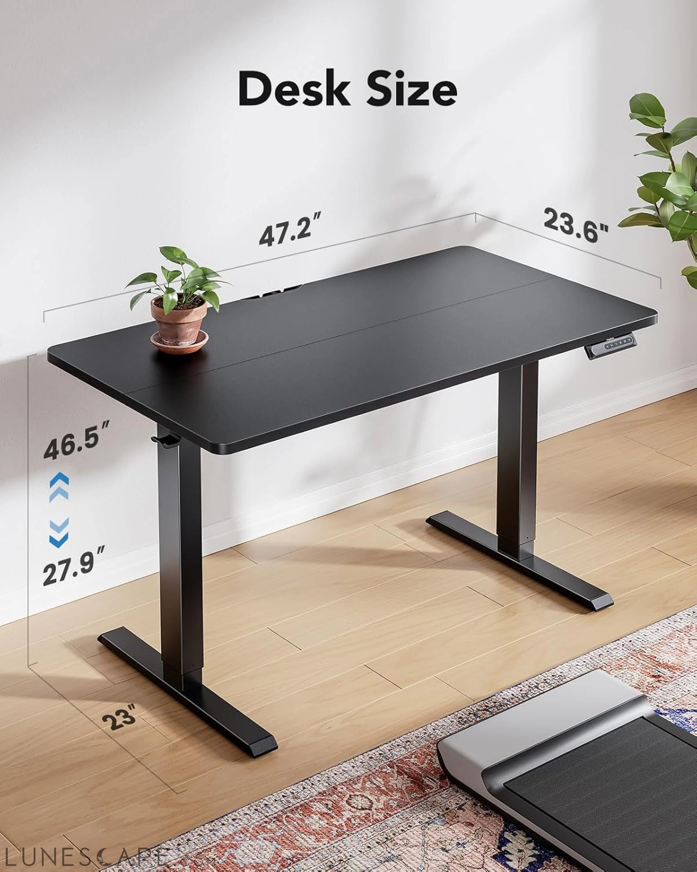 48" X 24" Electric Standing Desk Adjustable Height, 4 Memory Height LUNESCAPE