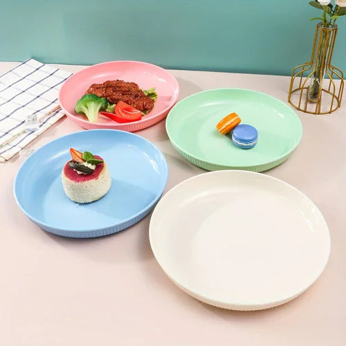 4Piece Striped Dinner Plates Set for Camping  More LUNESCAPE