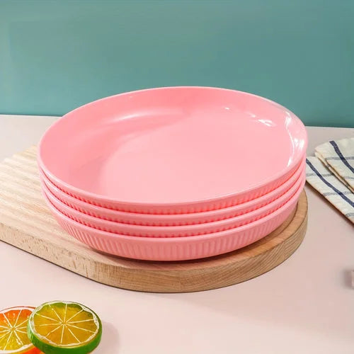 4Piece Striped Dinner Plates Set for Camping  More LUNESCAPE