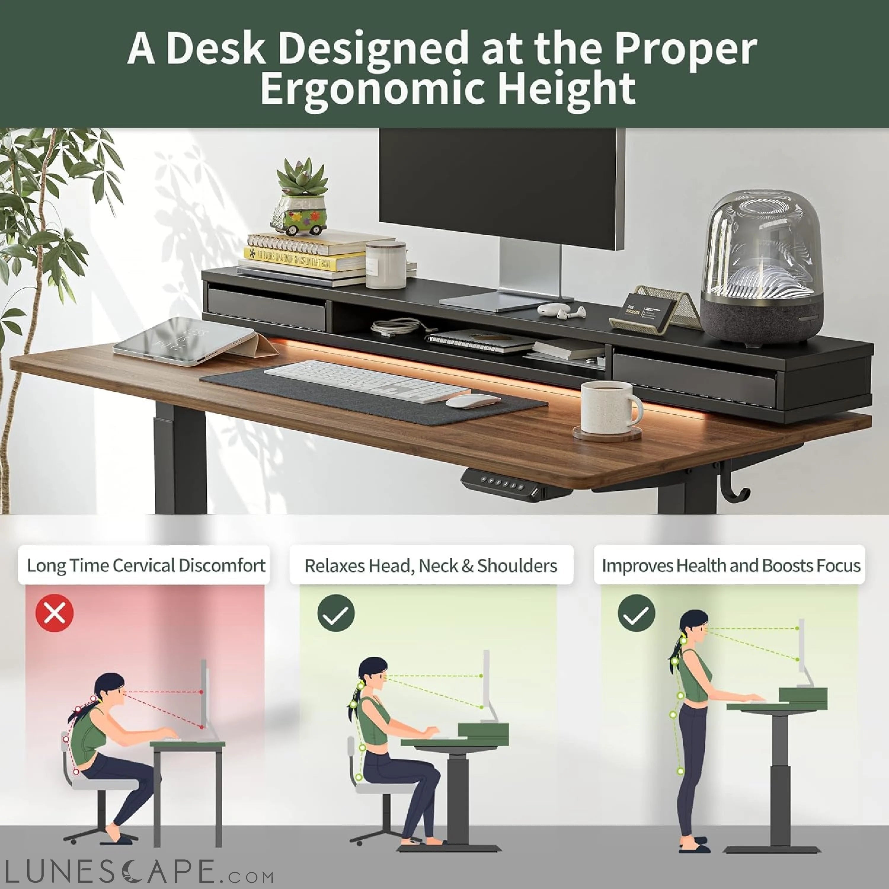 55 X 24 Inch Height Adjustable Electric Standing Desk with Double LUNESCAPE