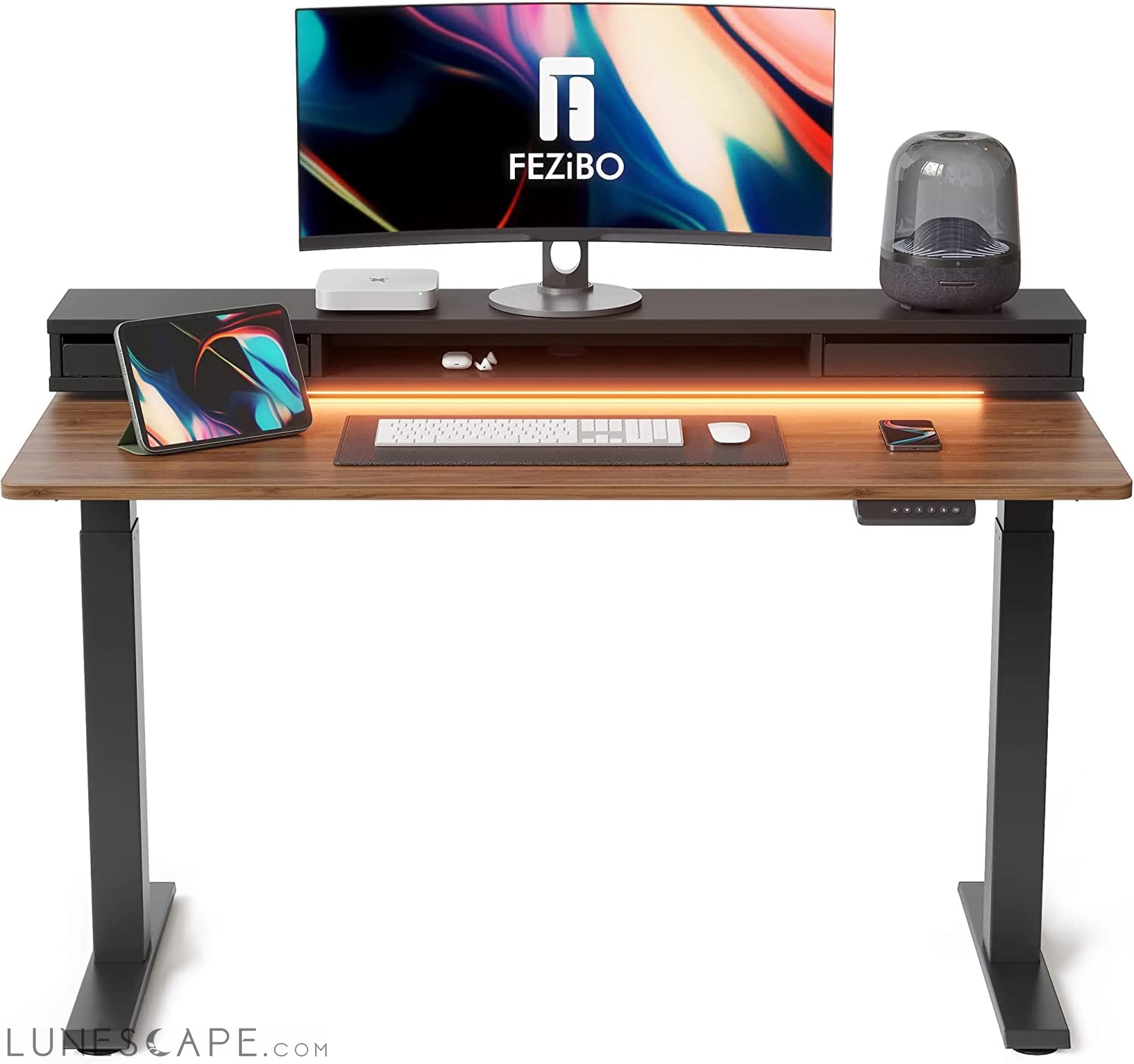 55 X 24 Inch Height Adjustable Electric Standing Desk with Double LUNESCAPE