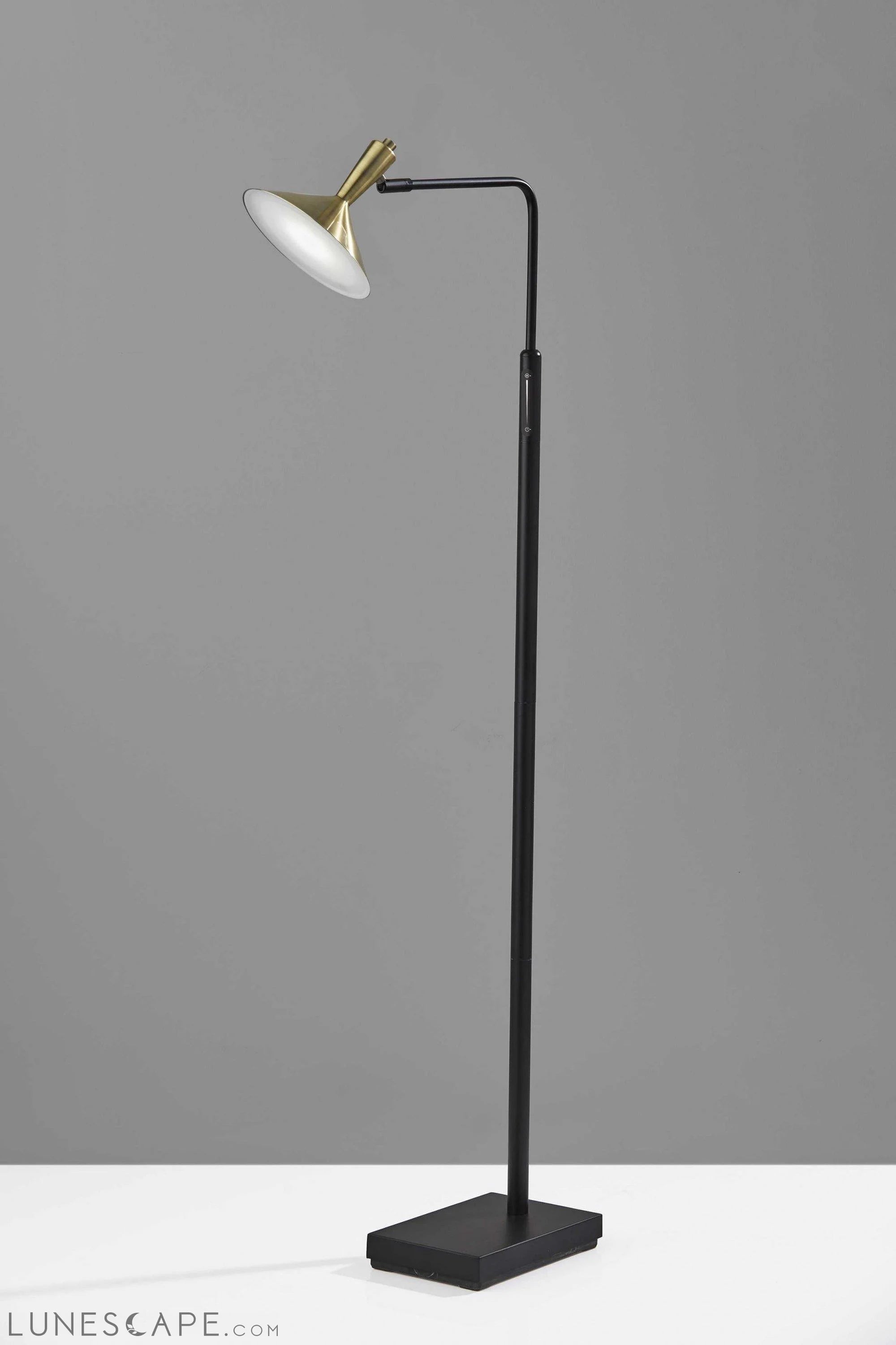 7" X 18.5"  X 54" Black Metal LED Floor Lamp LUNESCAPE