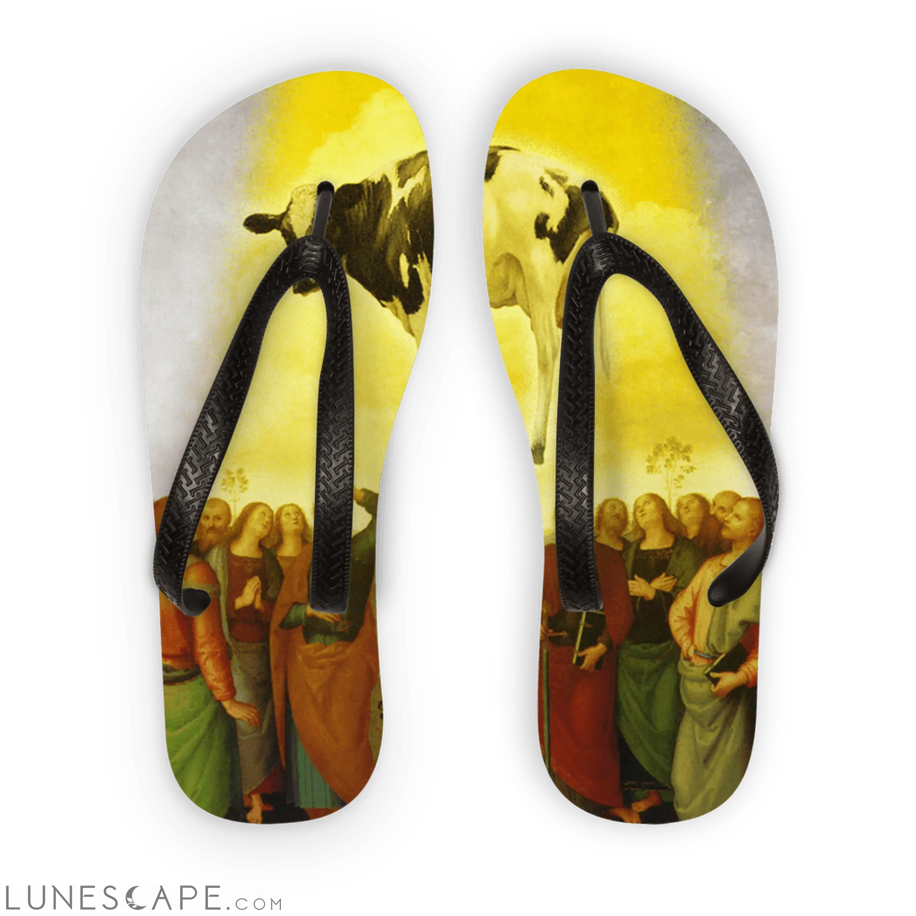 Abduction Adult Flip Flops LUNESCAPE