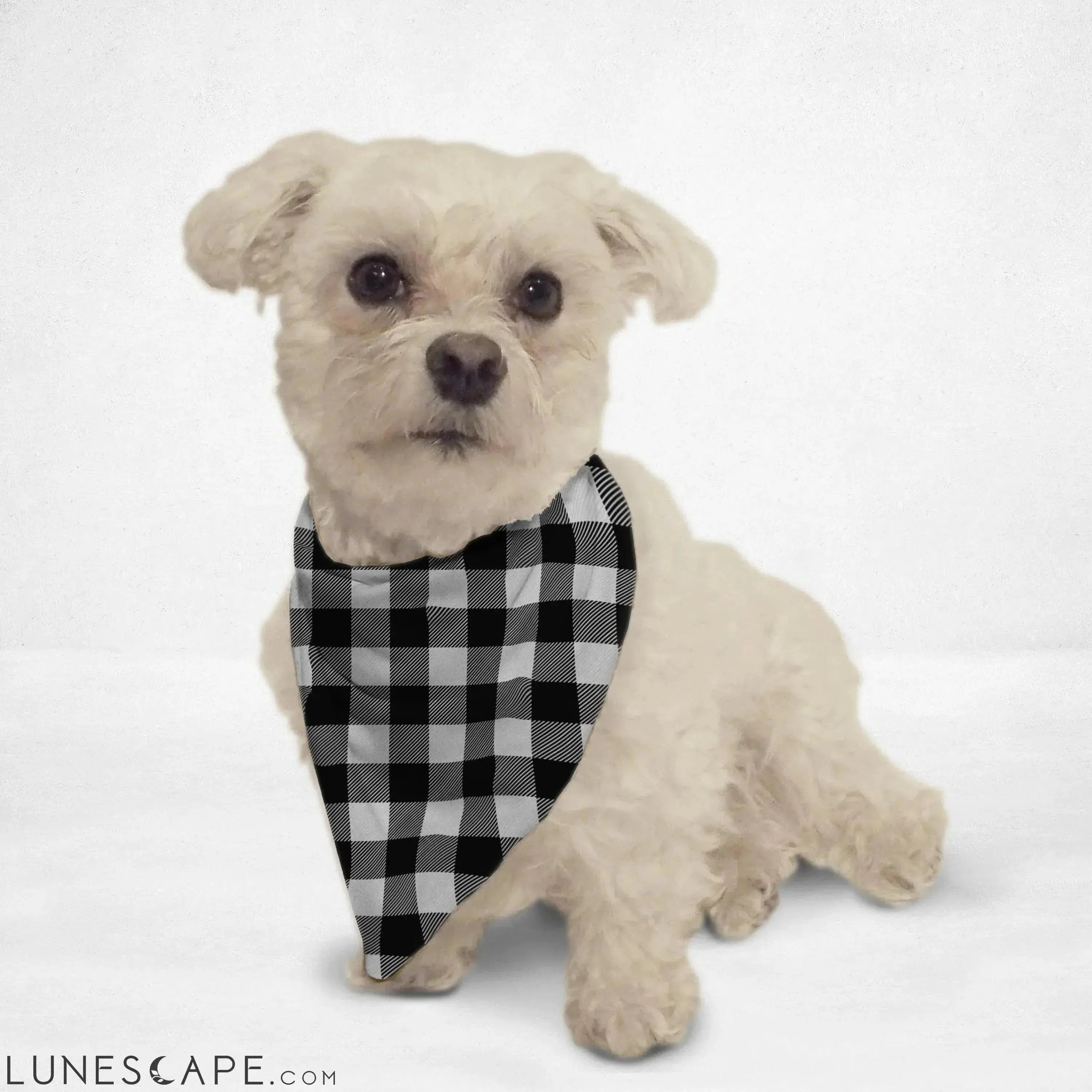 Black & White Cat & Dog Bandana LUNESCAPE