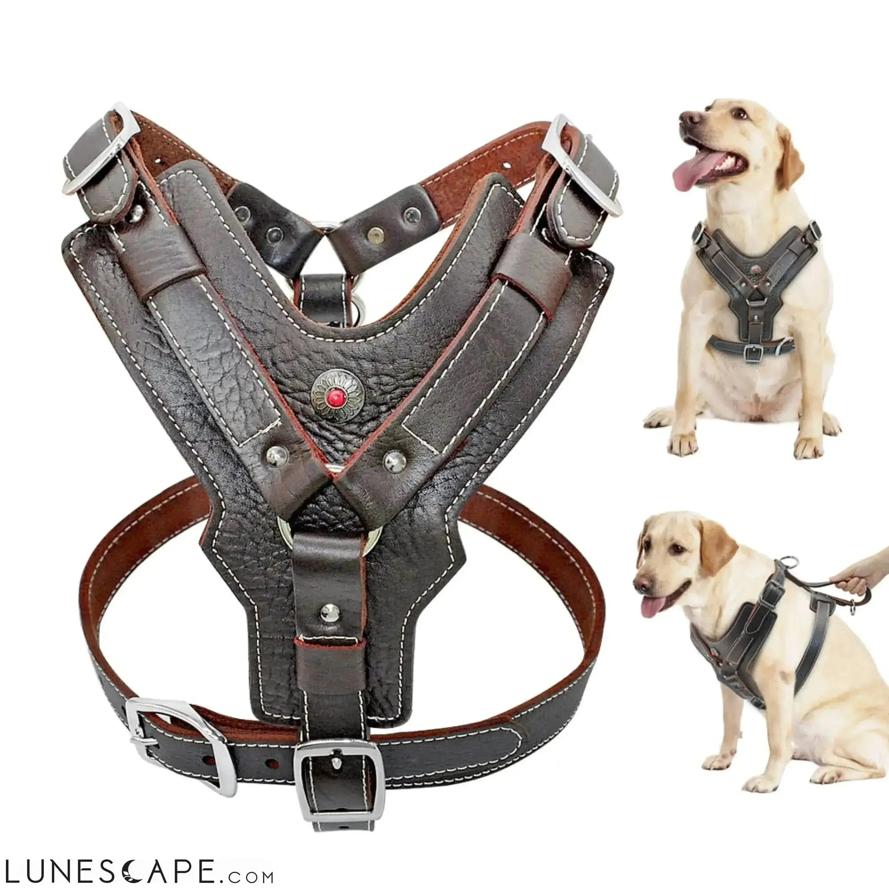 Heavy Duty Leather Large Breed Dog Harness LUNESCAPE