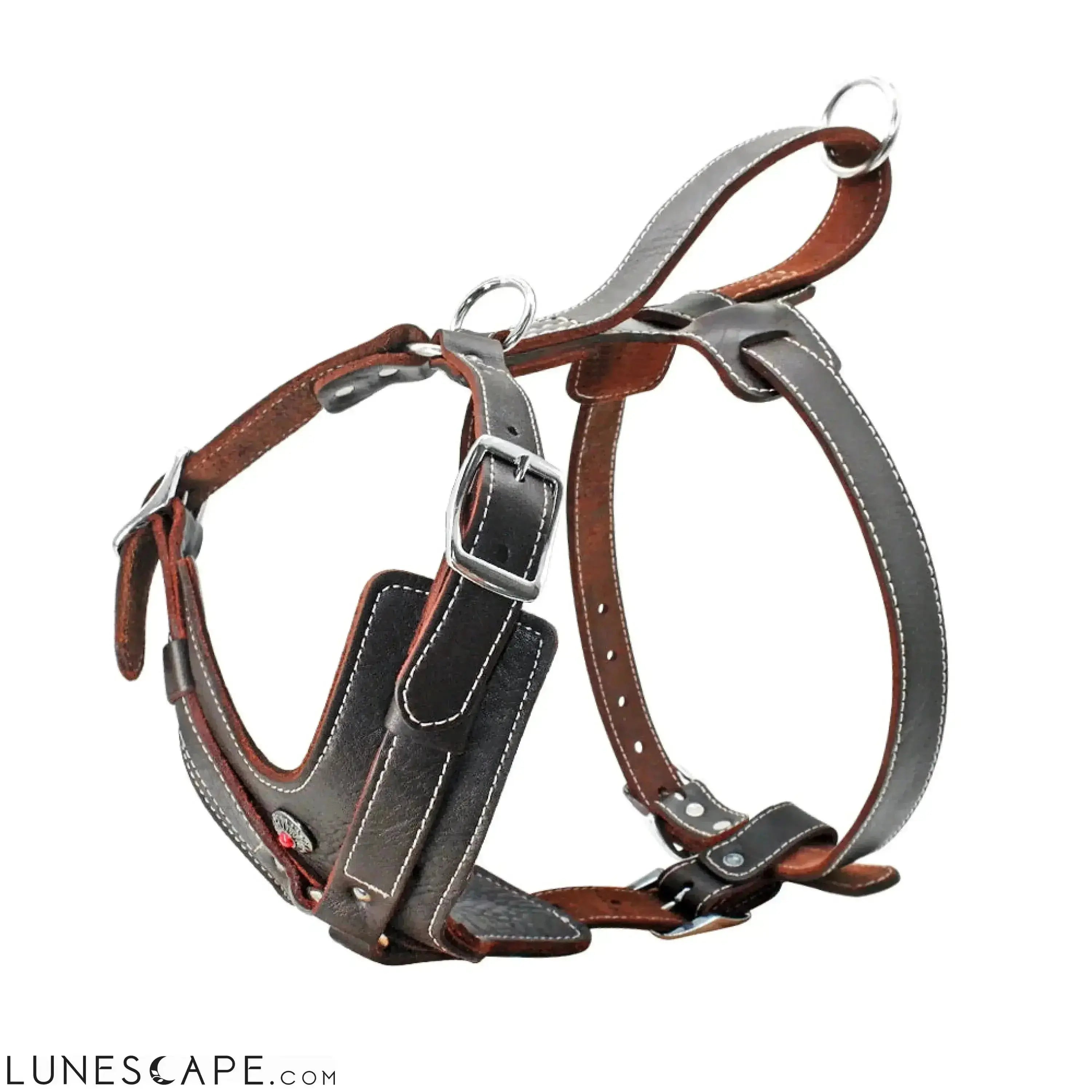 Heavy Duty Leather Large Breed Dog Harness LUNESCAPE