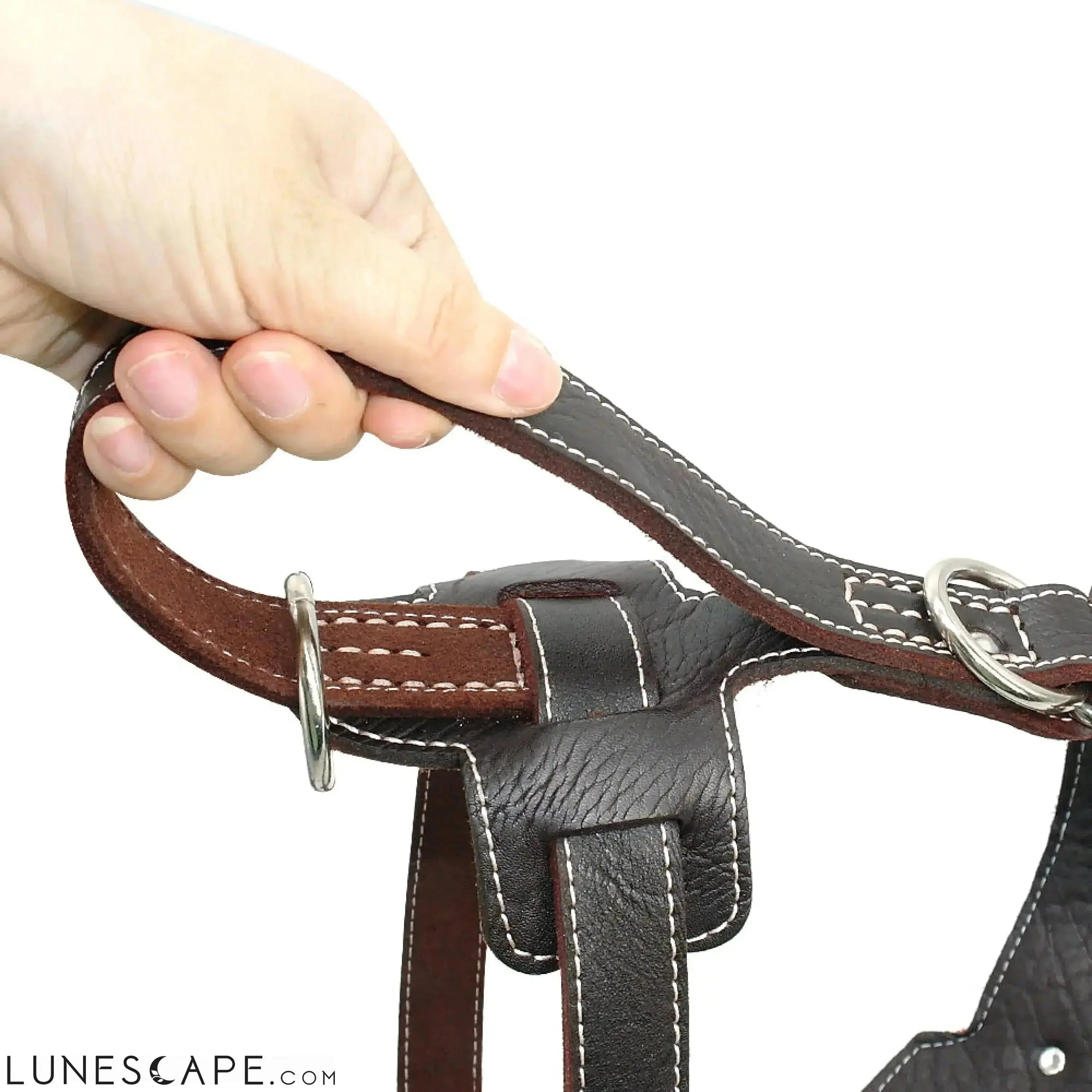 Heavy Duty Leather Large Breed Dog Harness LUNESCAPE