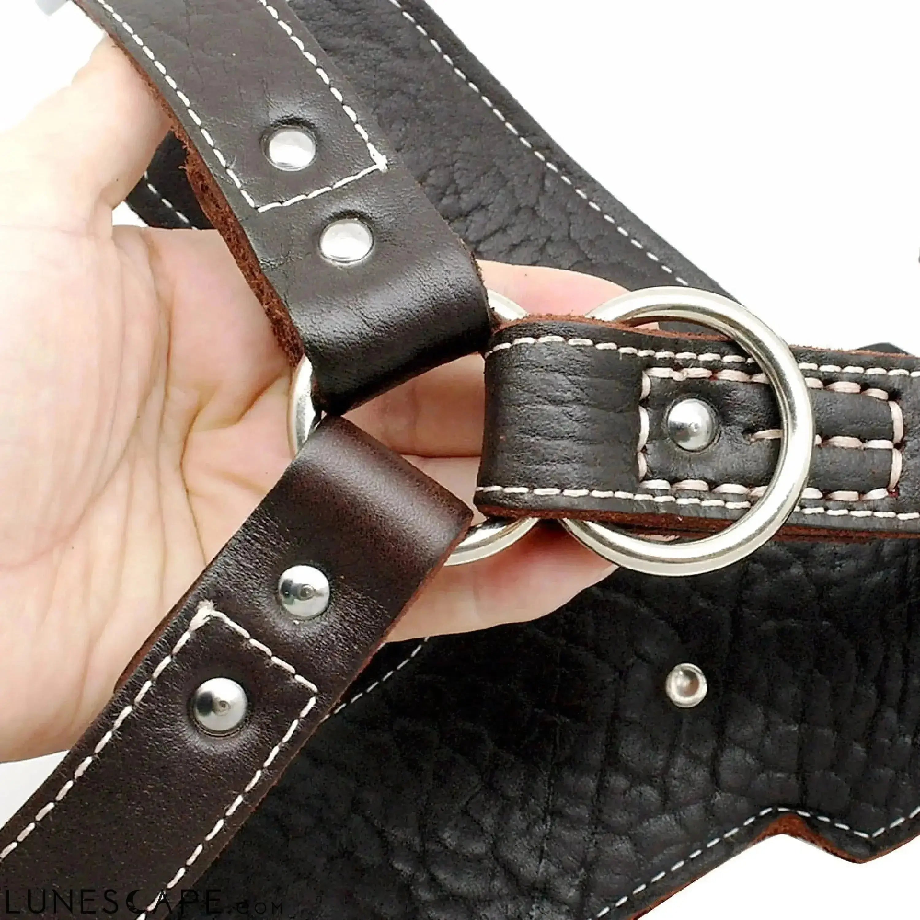 Heavy Duty Leather Large Breed Dog Harness LUNESCAPE