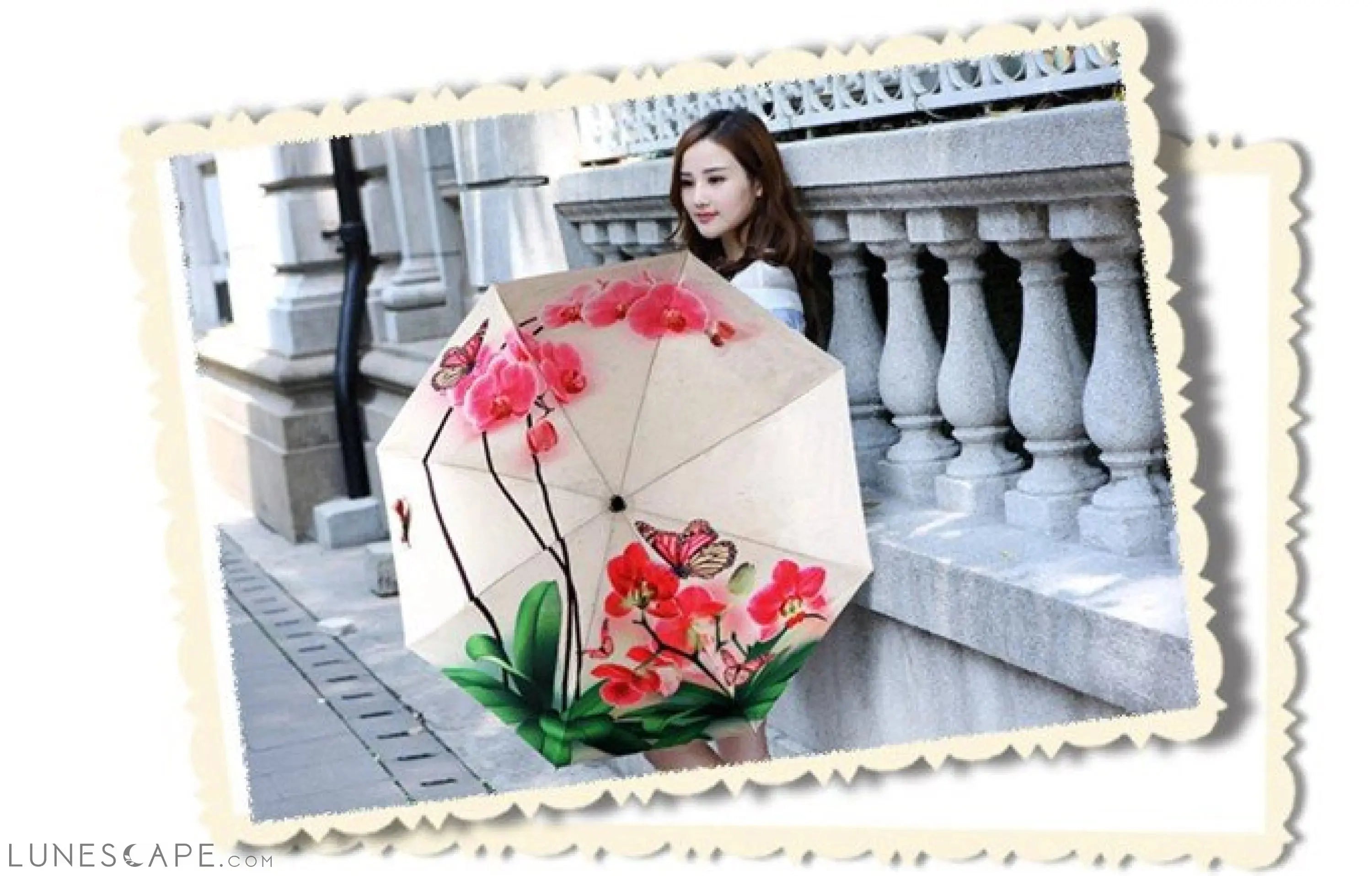 Phalaenopsis IllUstrations Sunny Umbrella LUNESCAPE