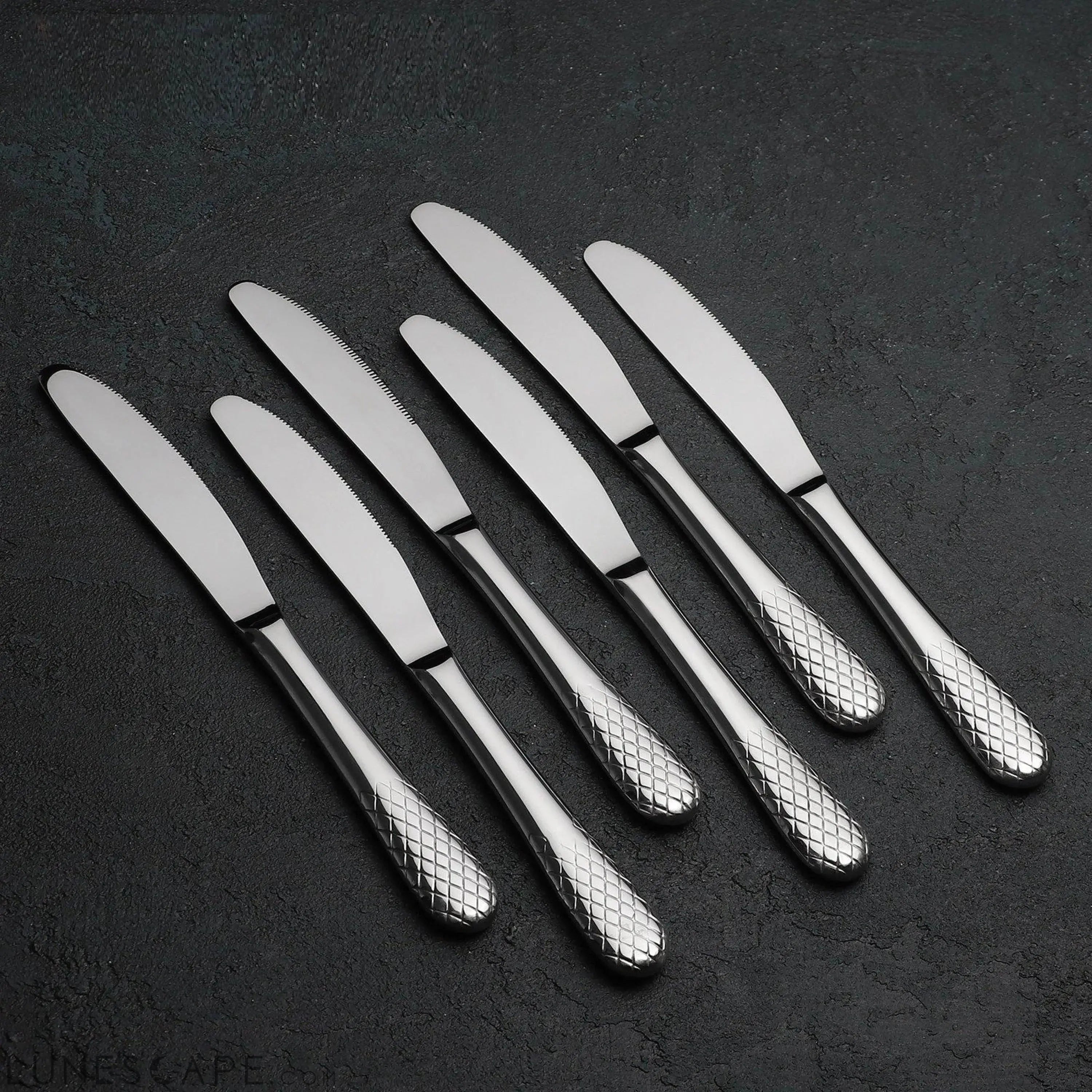 Stainless Steel 8-Inch Dinner Knife - 6 Piece Set LUNESCAPE