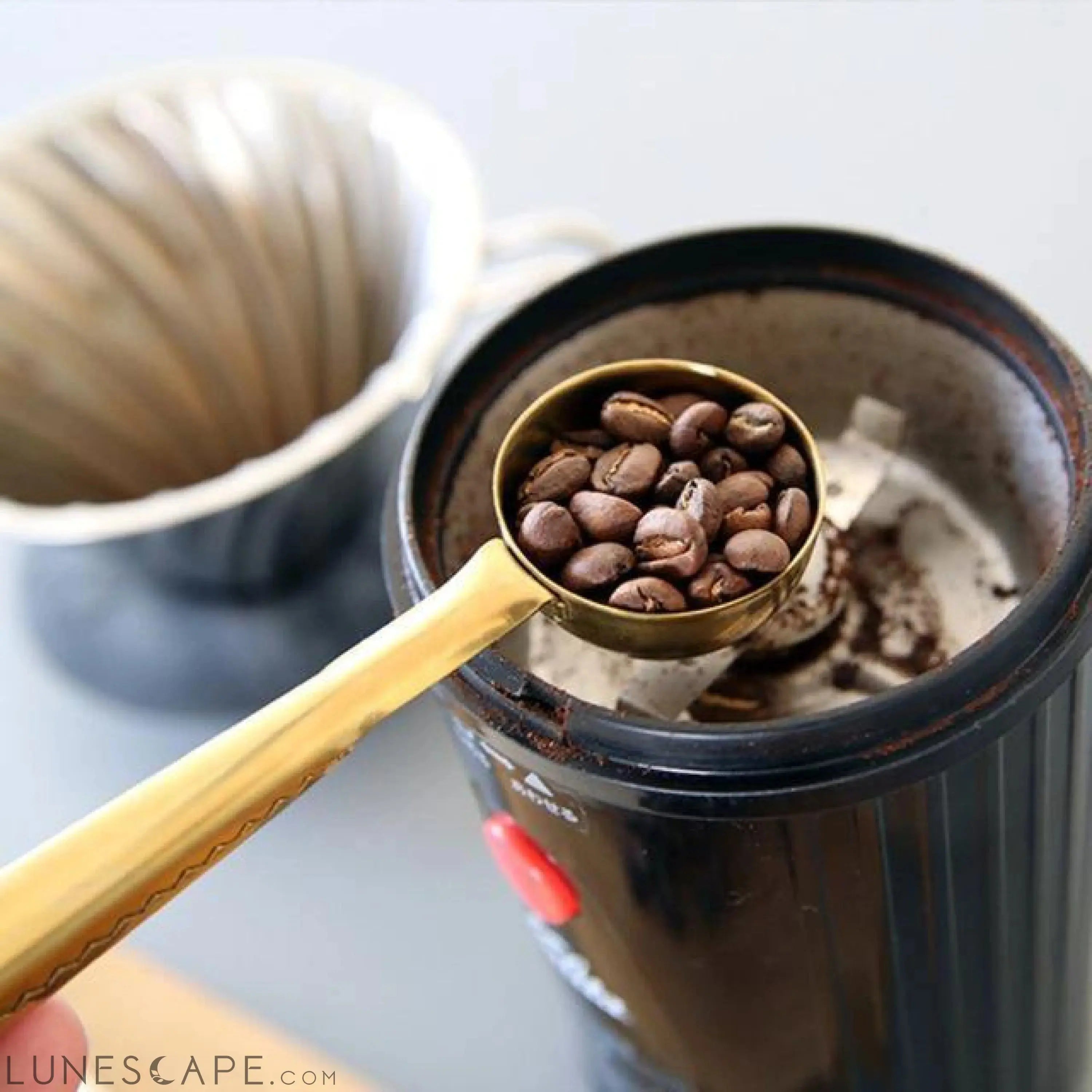 Stainless Steel Coffee Scoop LUNESCAPE