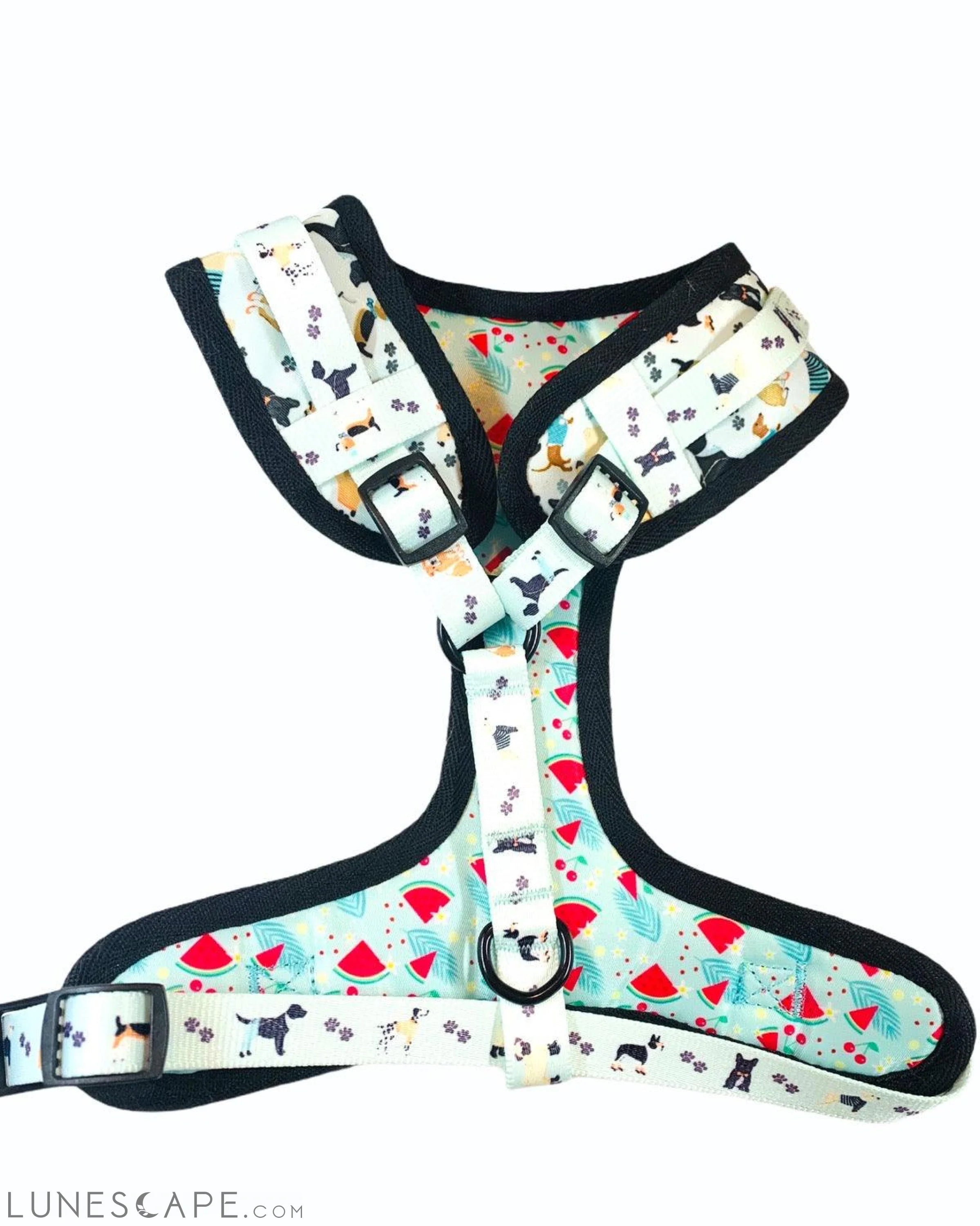 Adjustable Dog Harness - Dapper Doggy LUNESCAPE