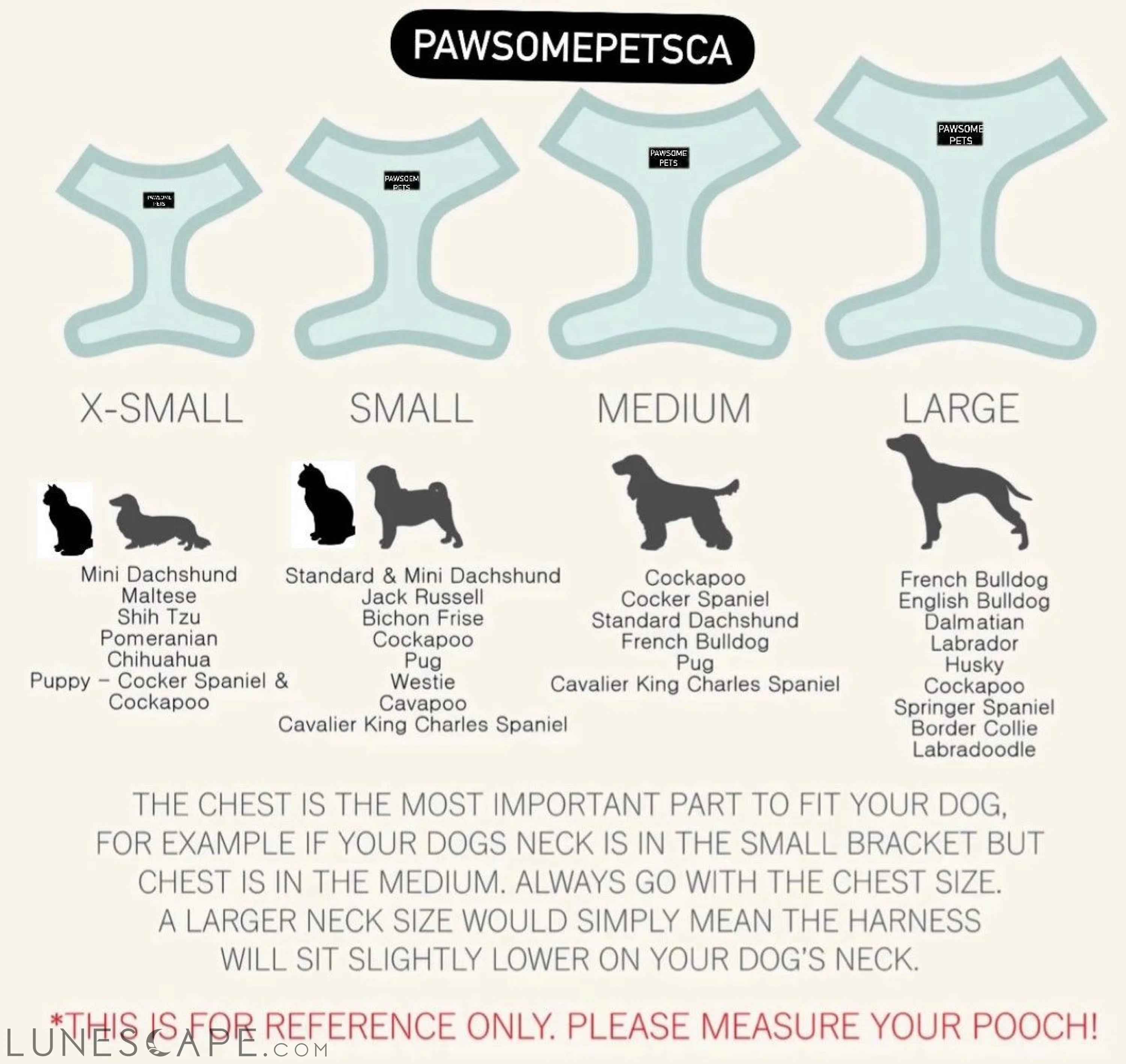 Adjustable Dog Harness - Underwater LUNESCAPE