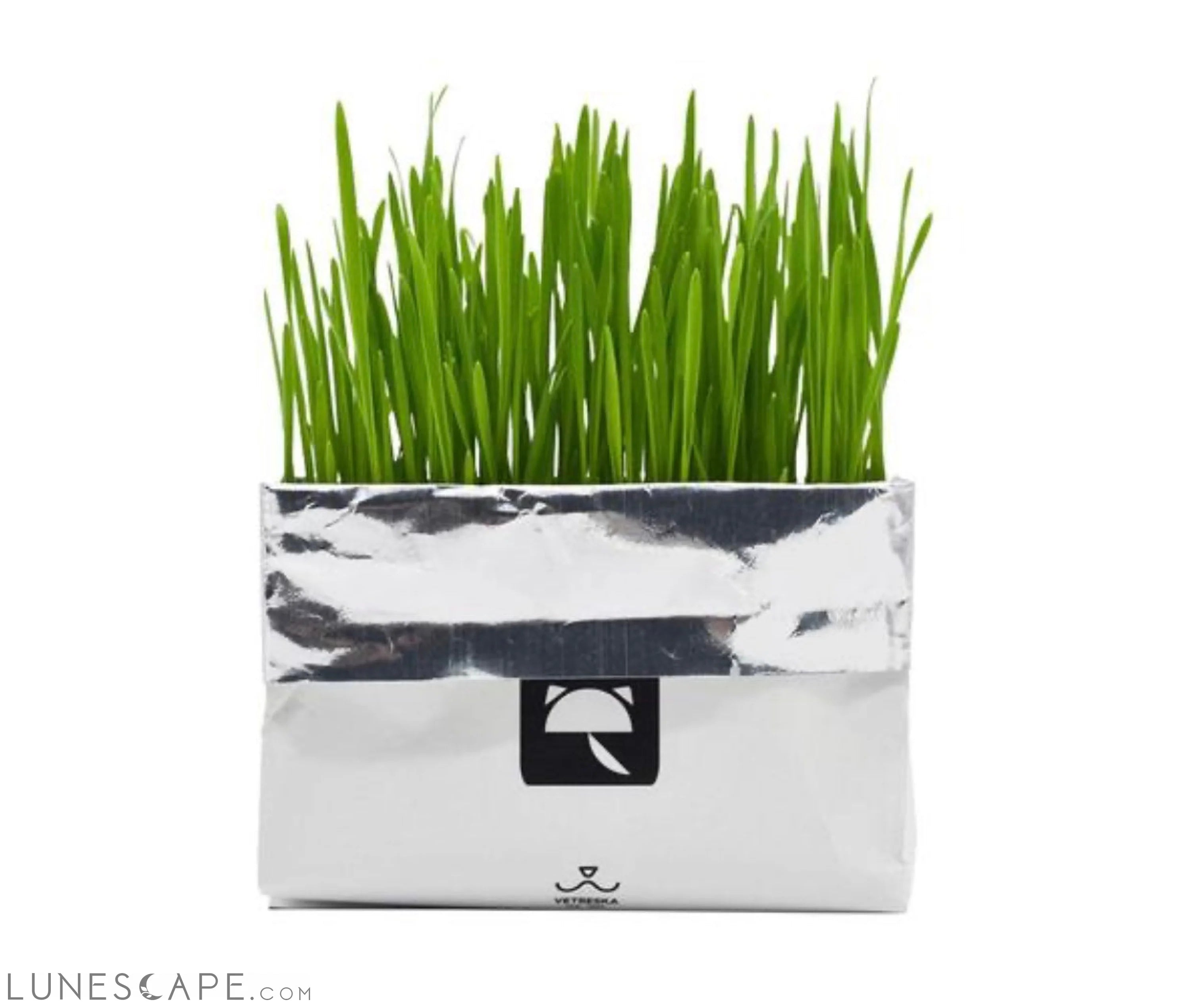 All-In-One Cat Grass Kit LUNESCAPE