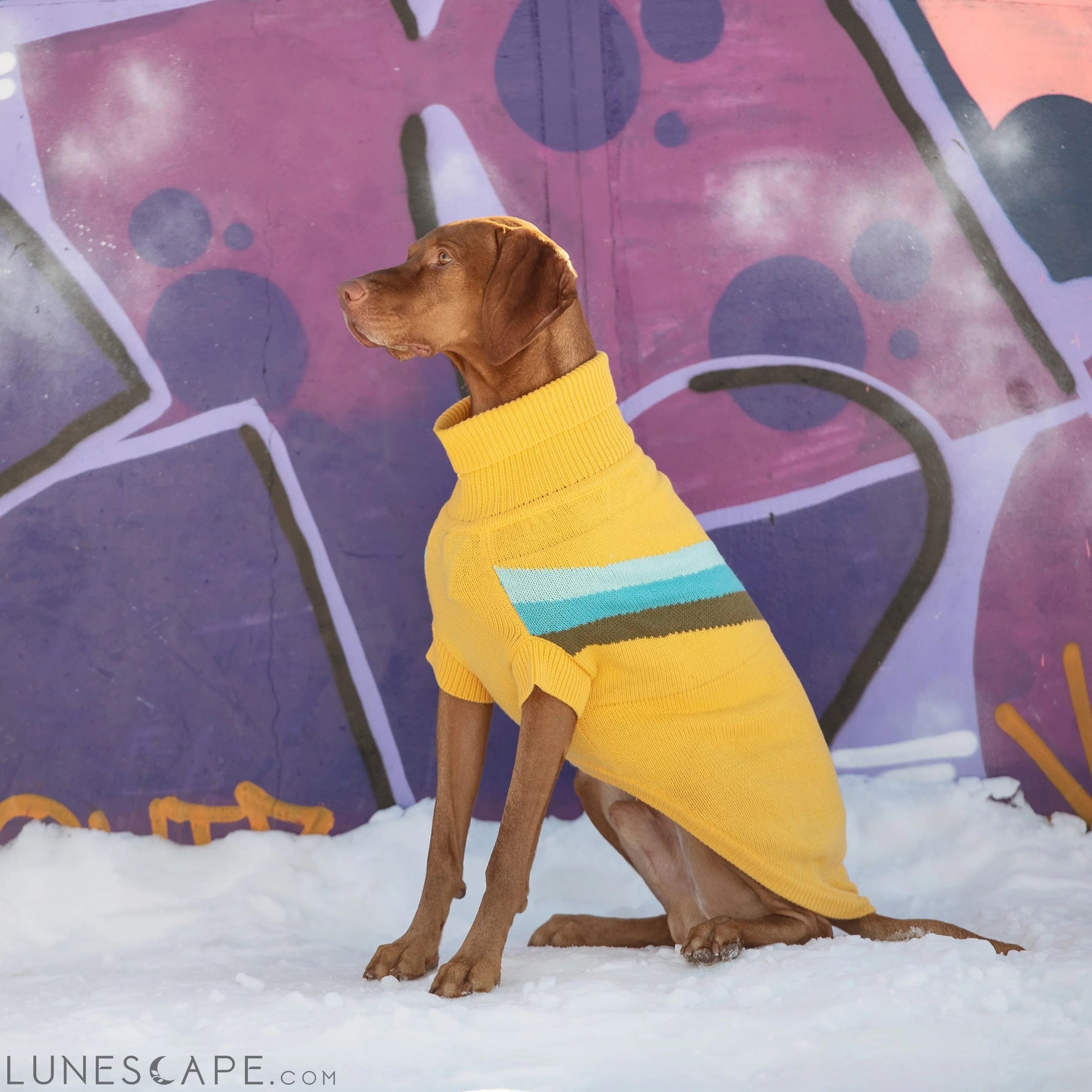 Alpine Sweater - Yellow LUNESCAPE