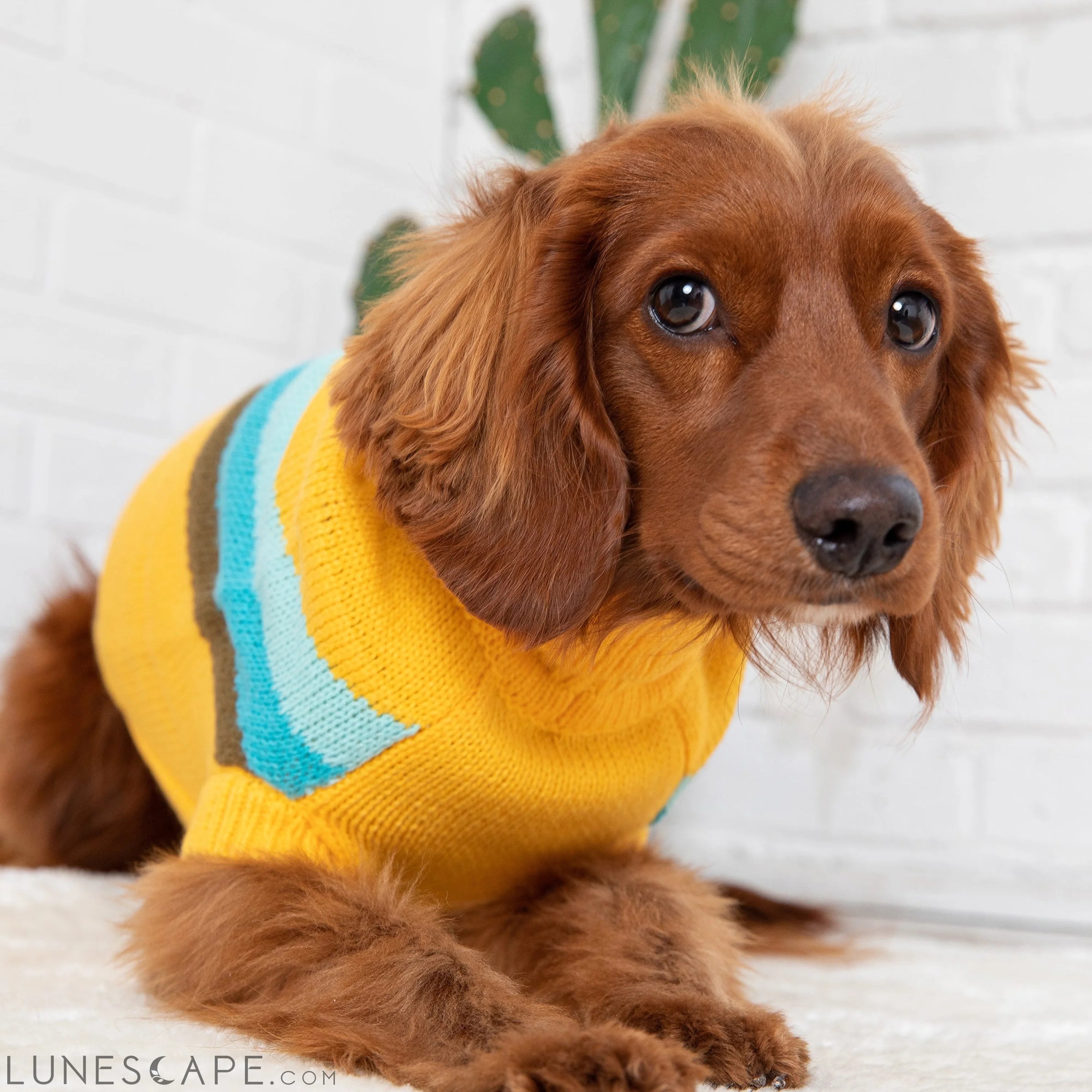 Alpine Sweater - Yellow LUNESCAPE