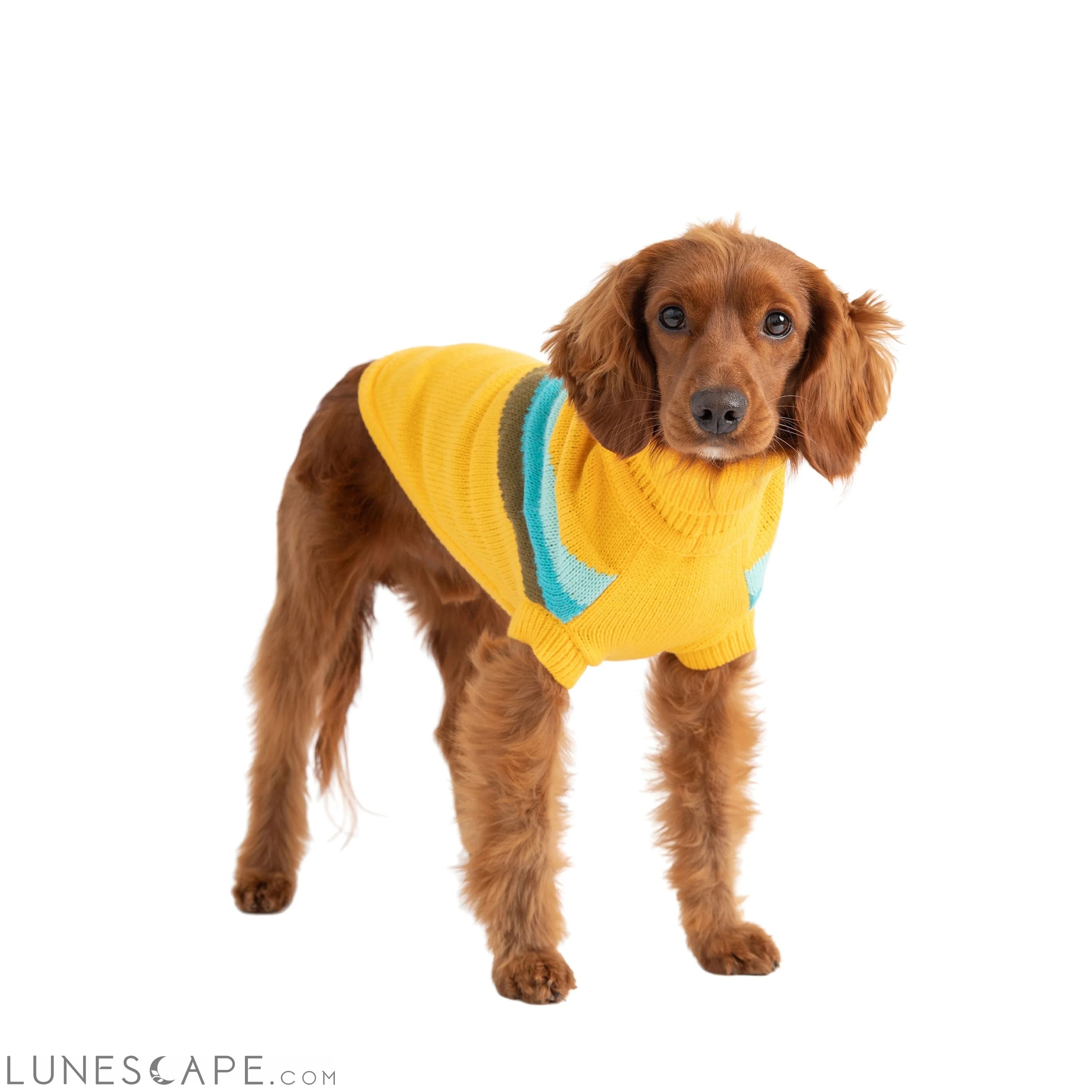 Alpine Sweater - Yellow LUNESCAPE