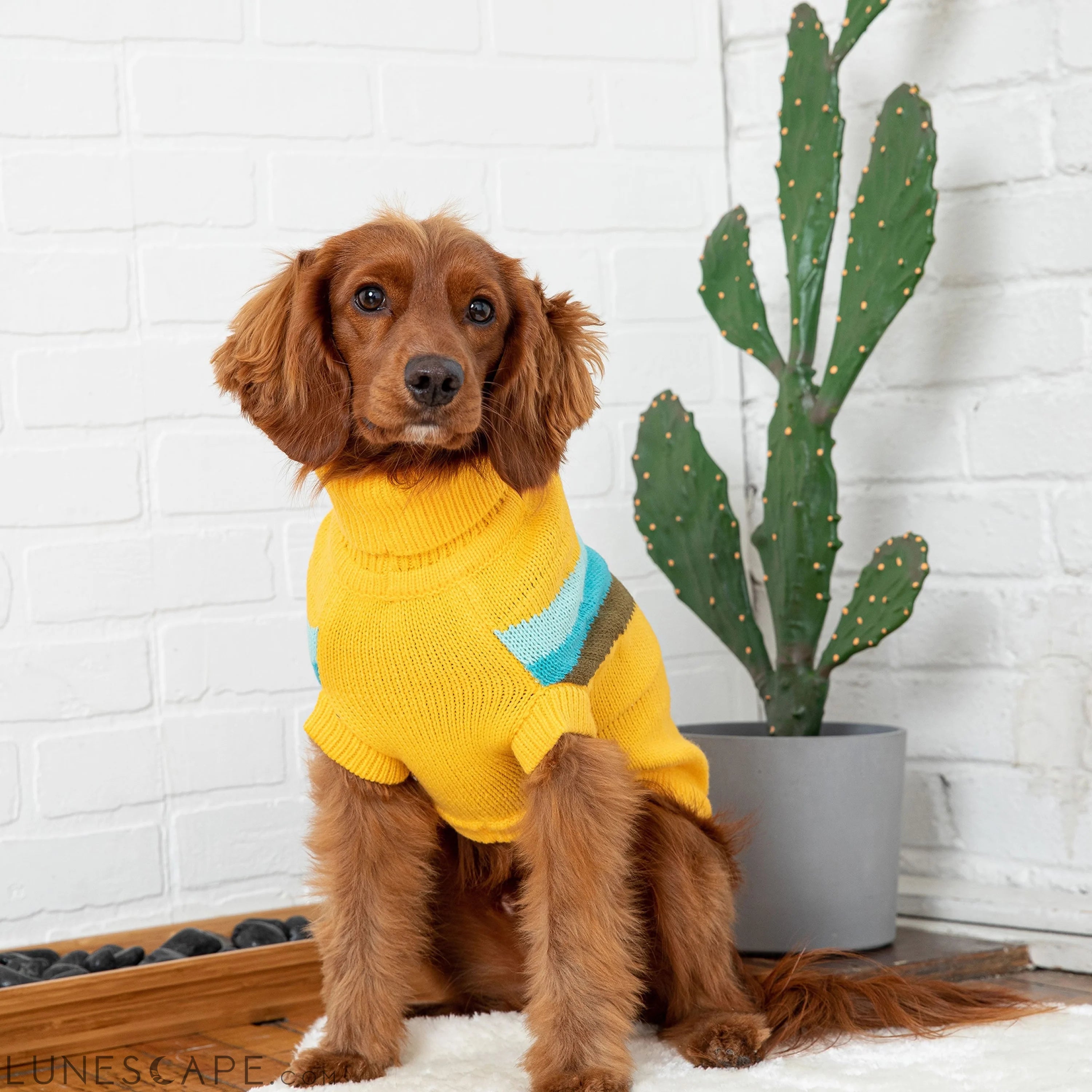 Alpine Sweater - Yellow LUNESCAPE