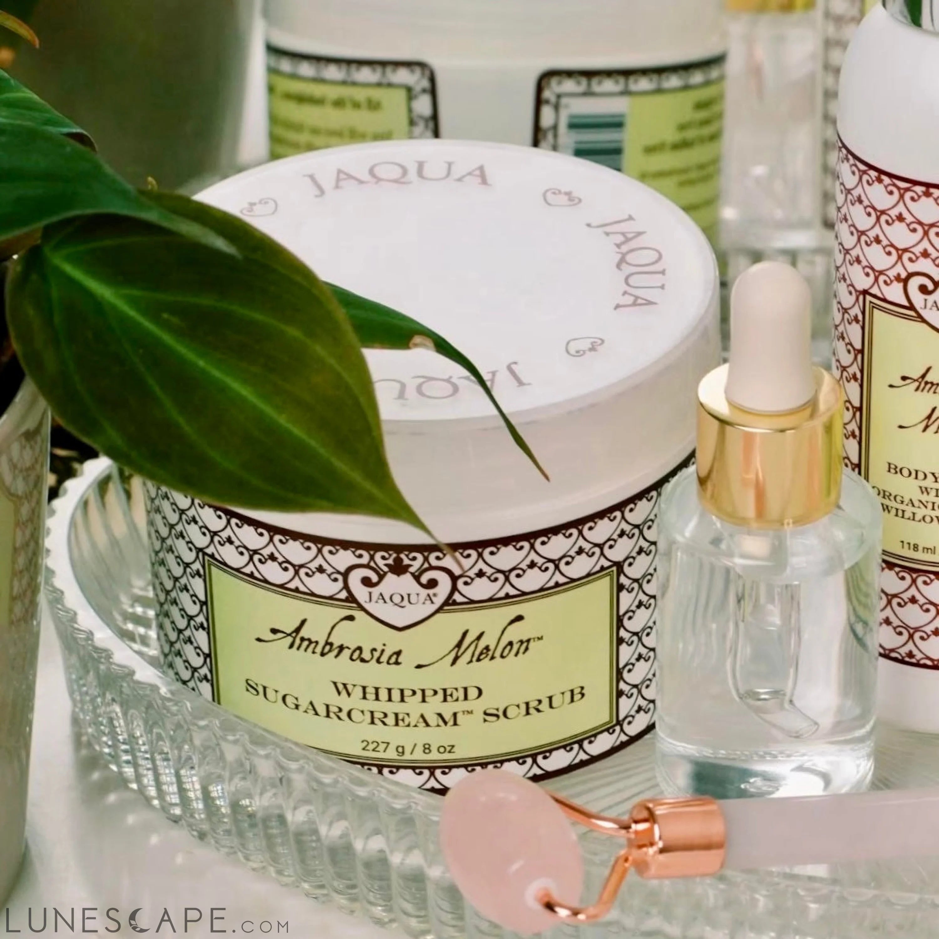 Ambrosia Melon Whipped Sugar Scrub LUNESCAPE