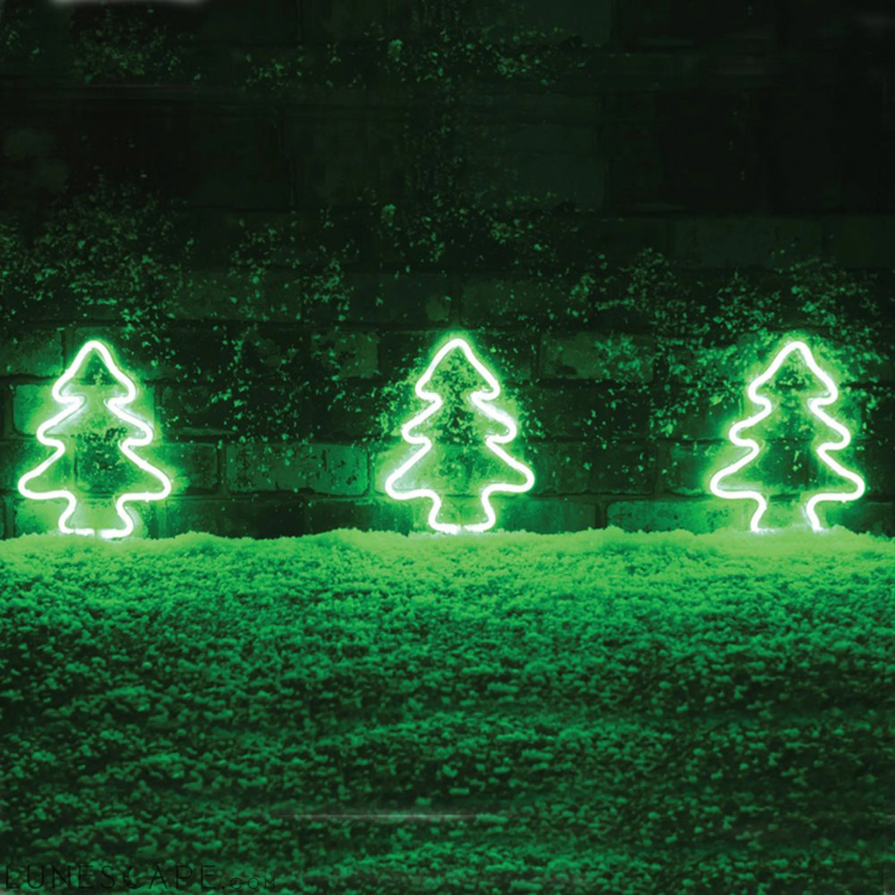 AMZER Neon LED Holiday Light with Holder, Warm Fairy Decorative Lamp LUNESCAPE