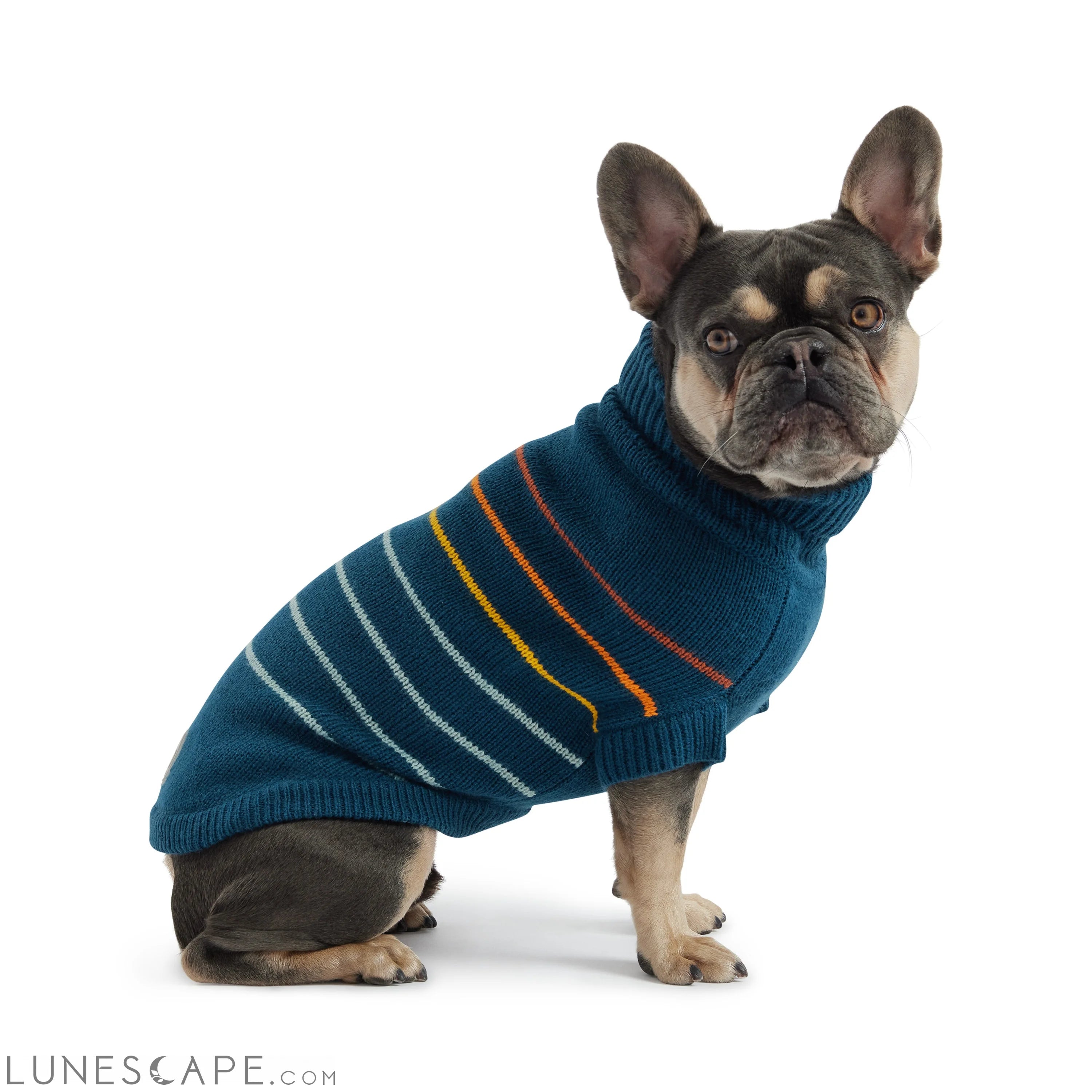 Arctic Sweater - Teal LUNESCAPE