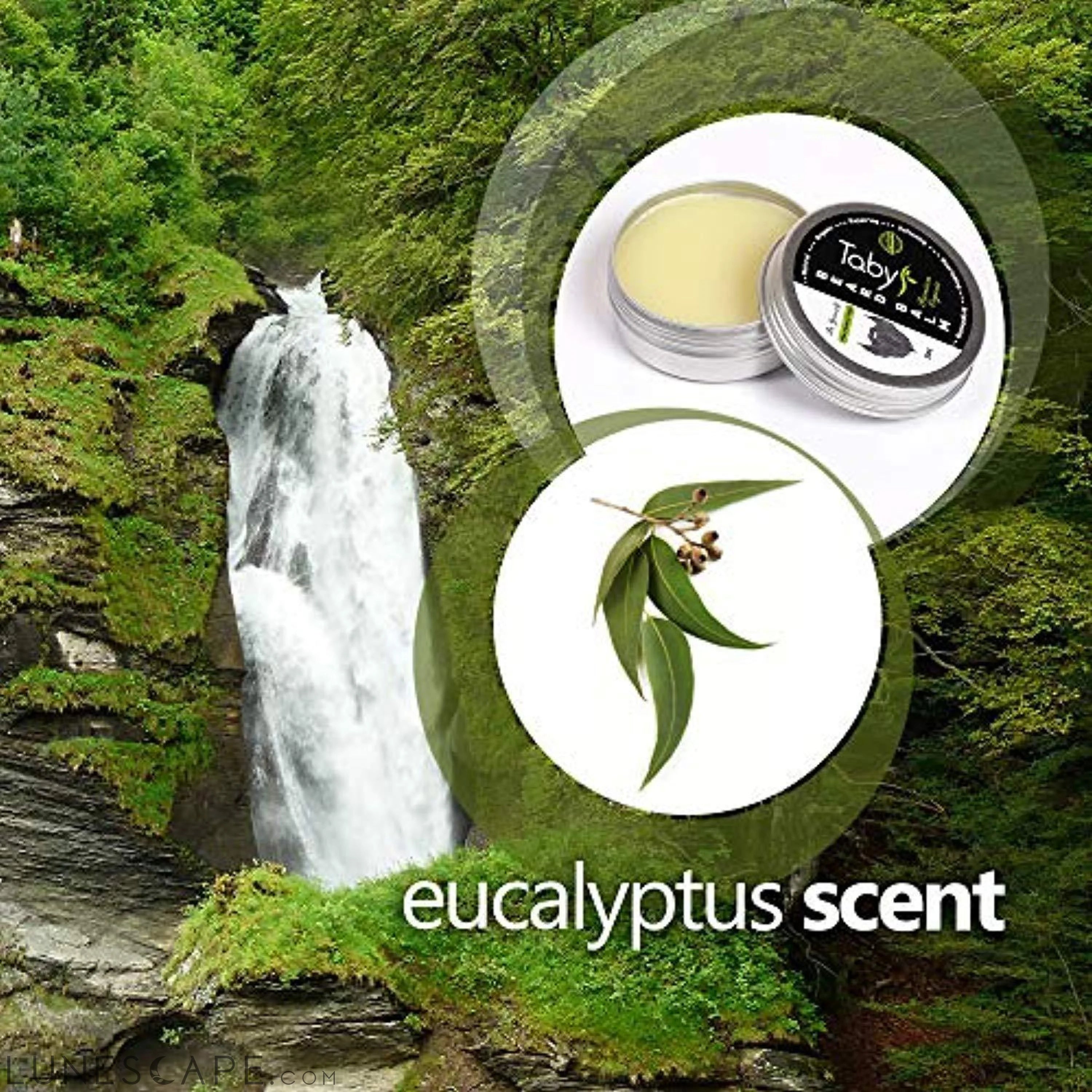 Argan Oil Beard Balm - Eucalyptus LUNESCAPE