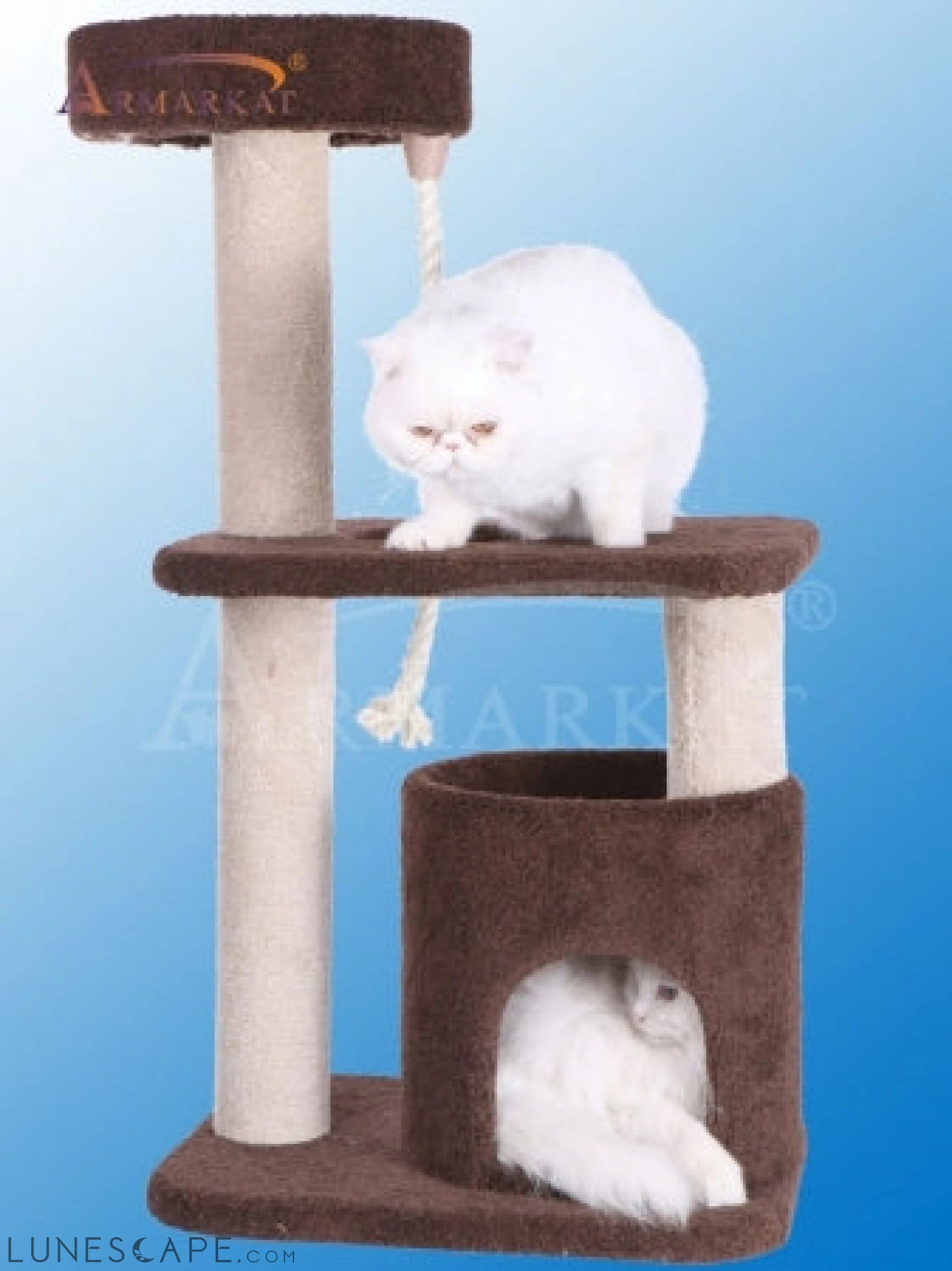 Armarkat 3-Tier Carpeted Real Wood Cat Tree Condo F3703 Kitten Activit LUNESCAPE