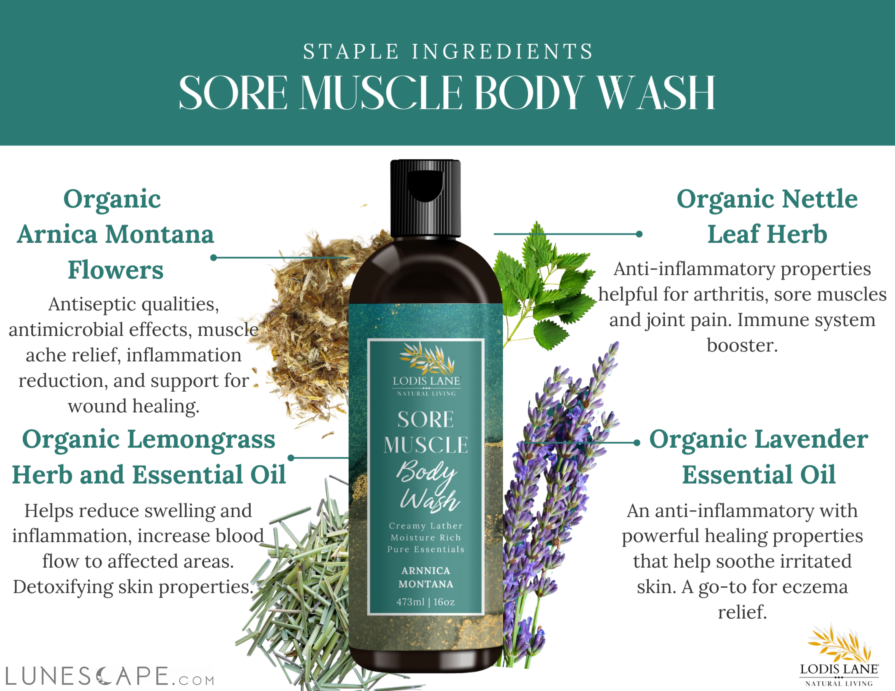 Arnica Montana Sore Muscle Body Wash LUNESCAPE