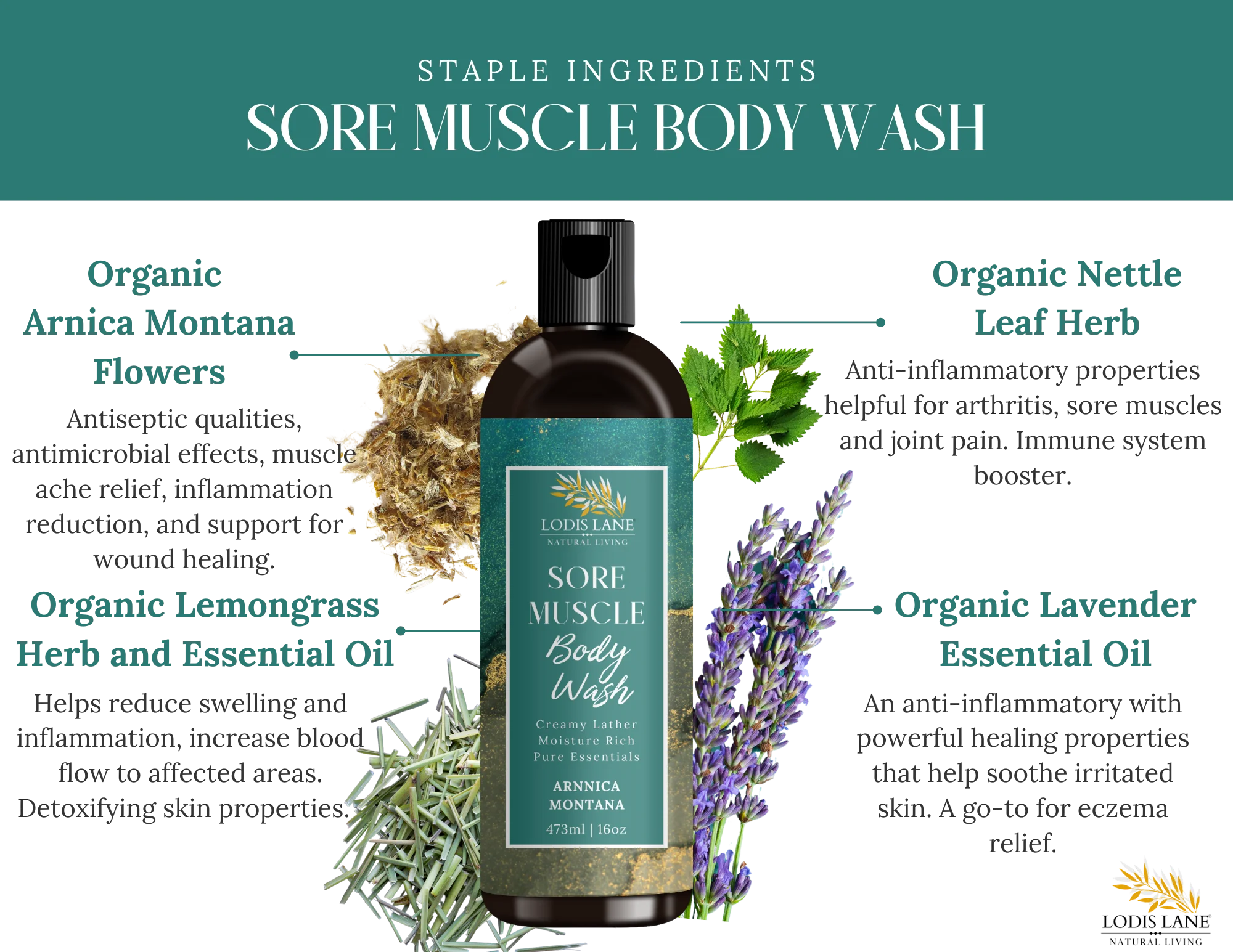 Arnica Montana Sore Muscle Body Wash LUNESCAPE