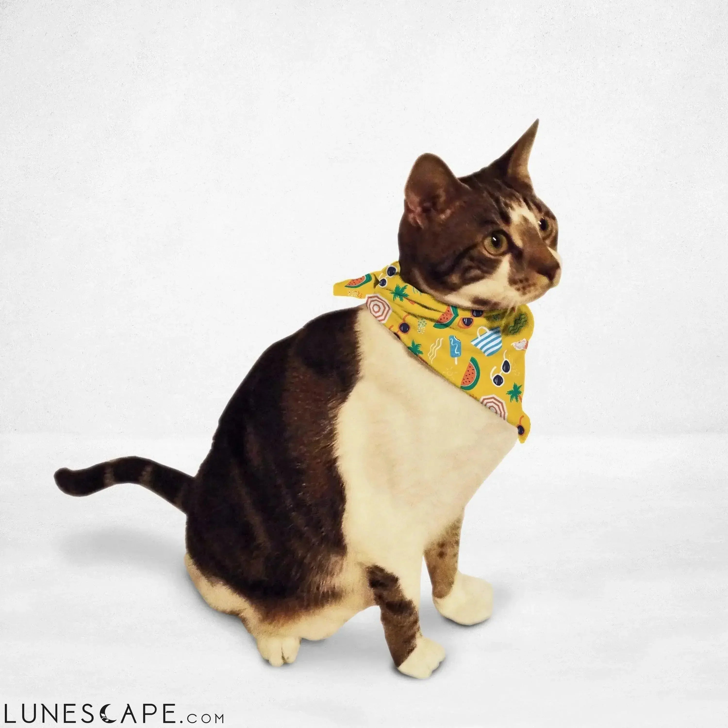 Beach Vibes Cat & Dog Bandana LUNESCAPE