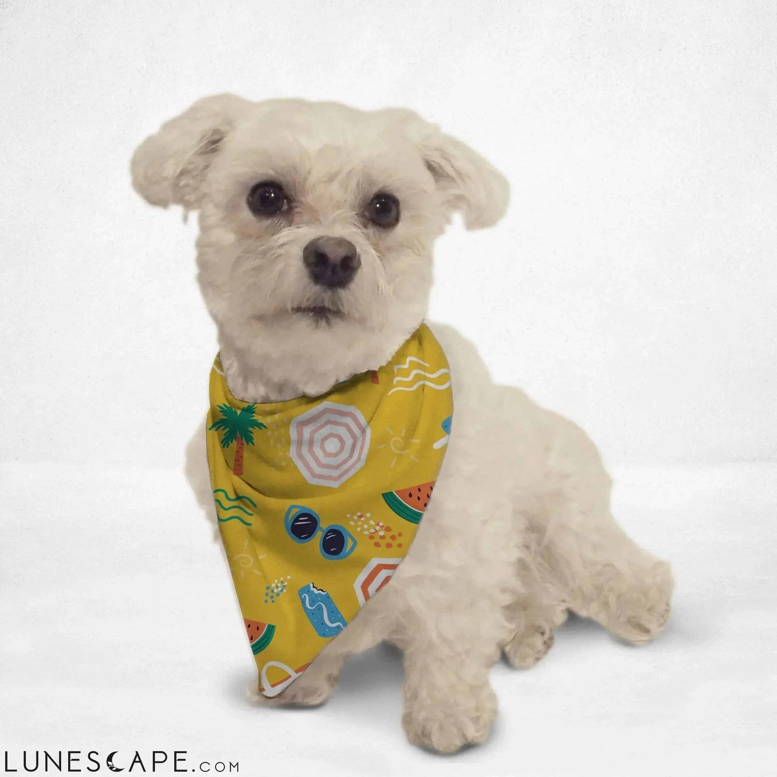 Beach Vibes Cat & Dog Bandana LUNESCAPE
