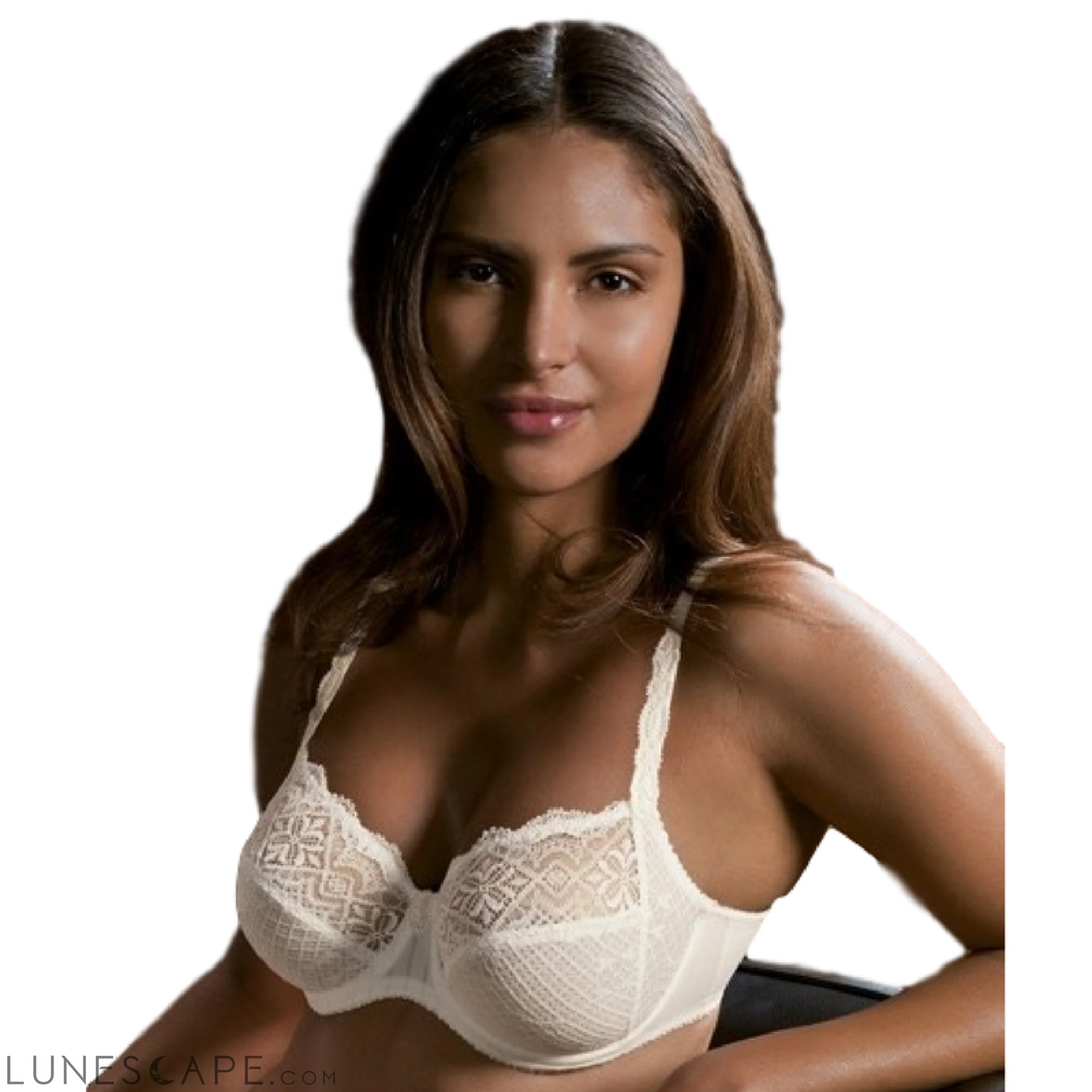 Belle De Jour Sheer Lace Plus Size Bra - Conturelle LUNESCAPE