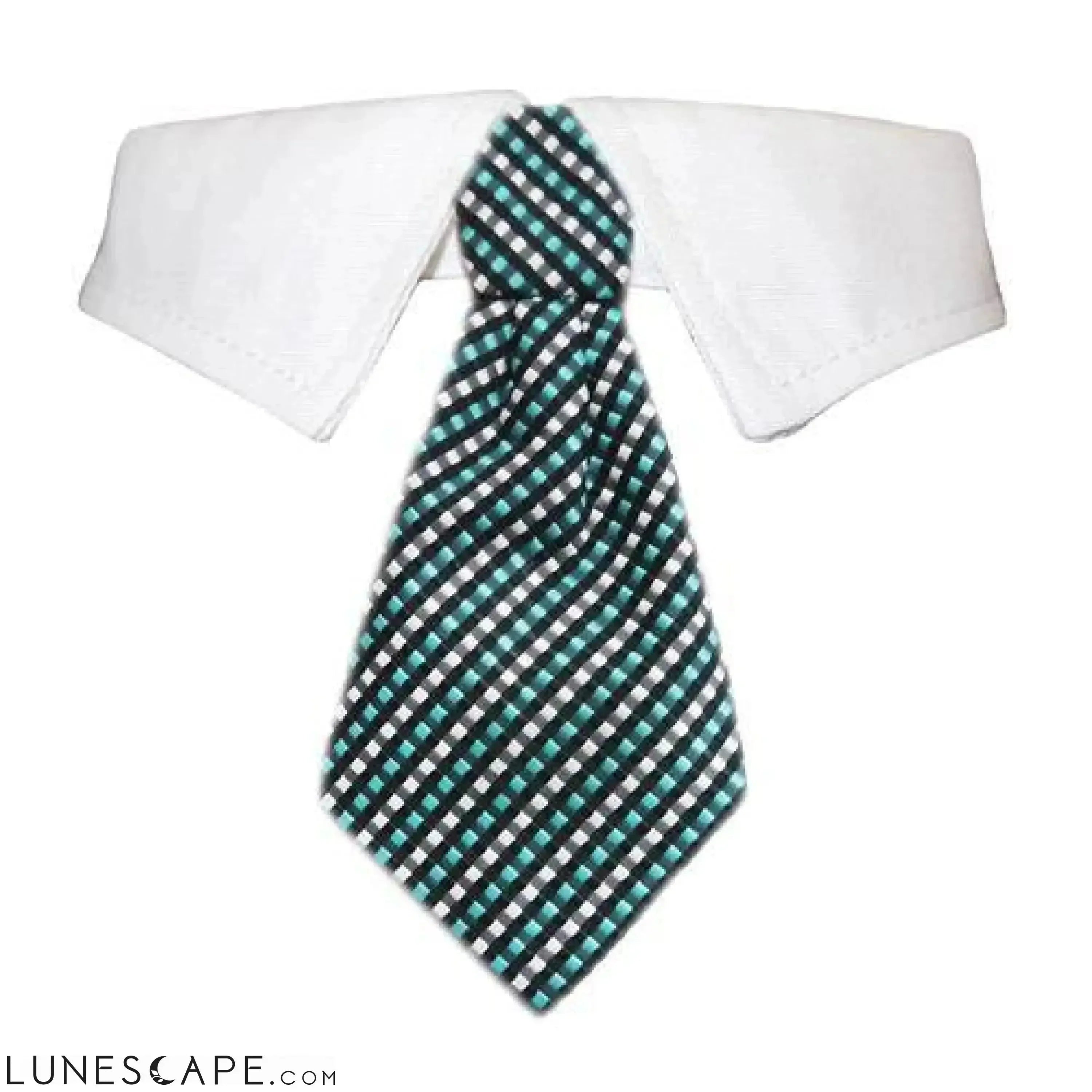 Benjamin Shirt Collar for Pets LUNESCAPE