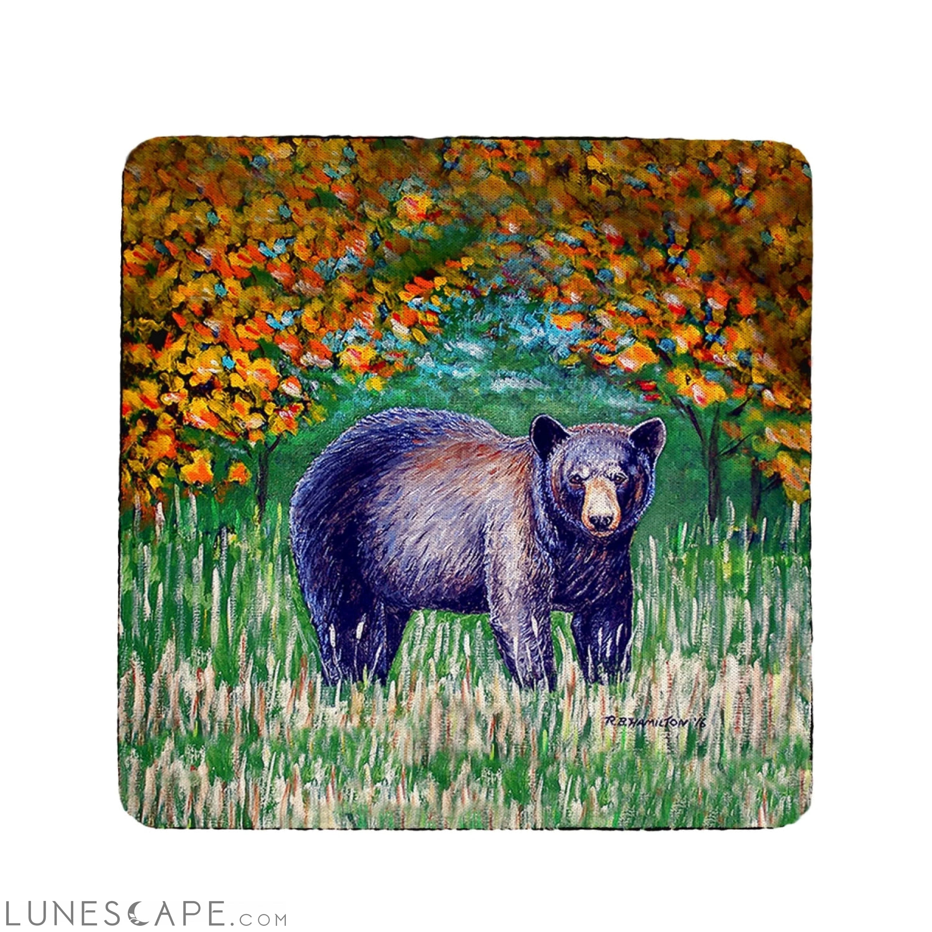 Betsy Drake 4 x 4 in. Black Bear Coaster - Set of 4 LUNESCAPE