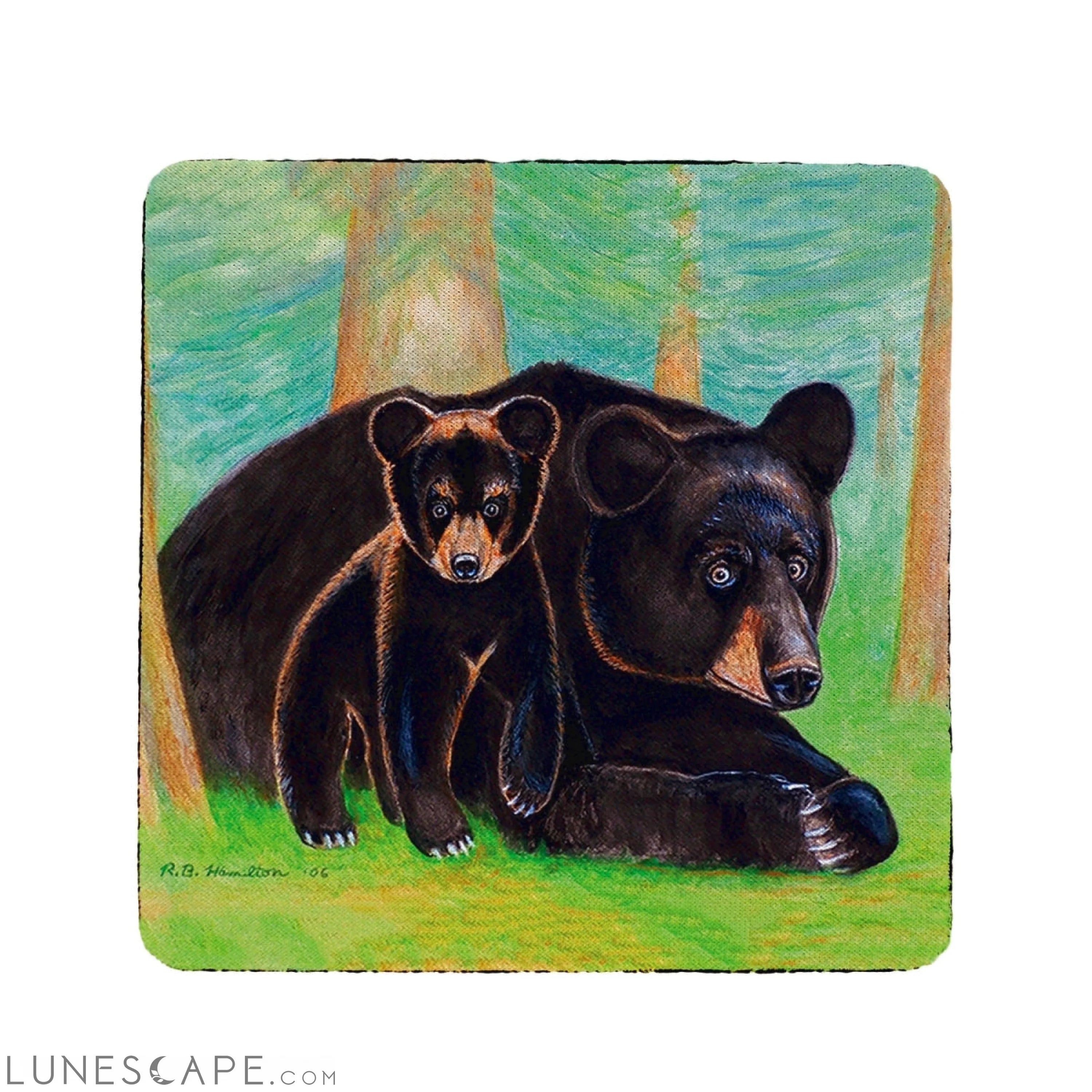 Betsy Drake Bear Cub Coaster - Set of 4 LUNESCAPE