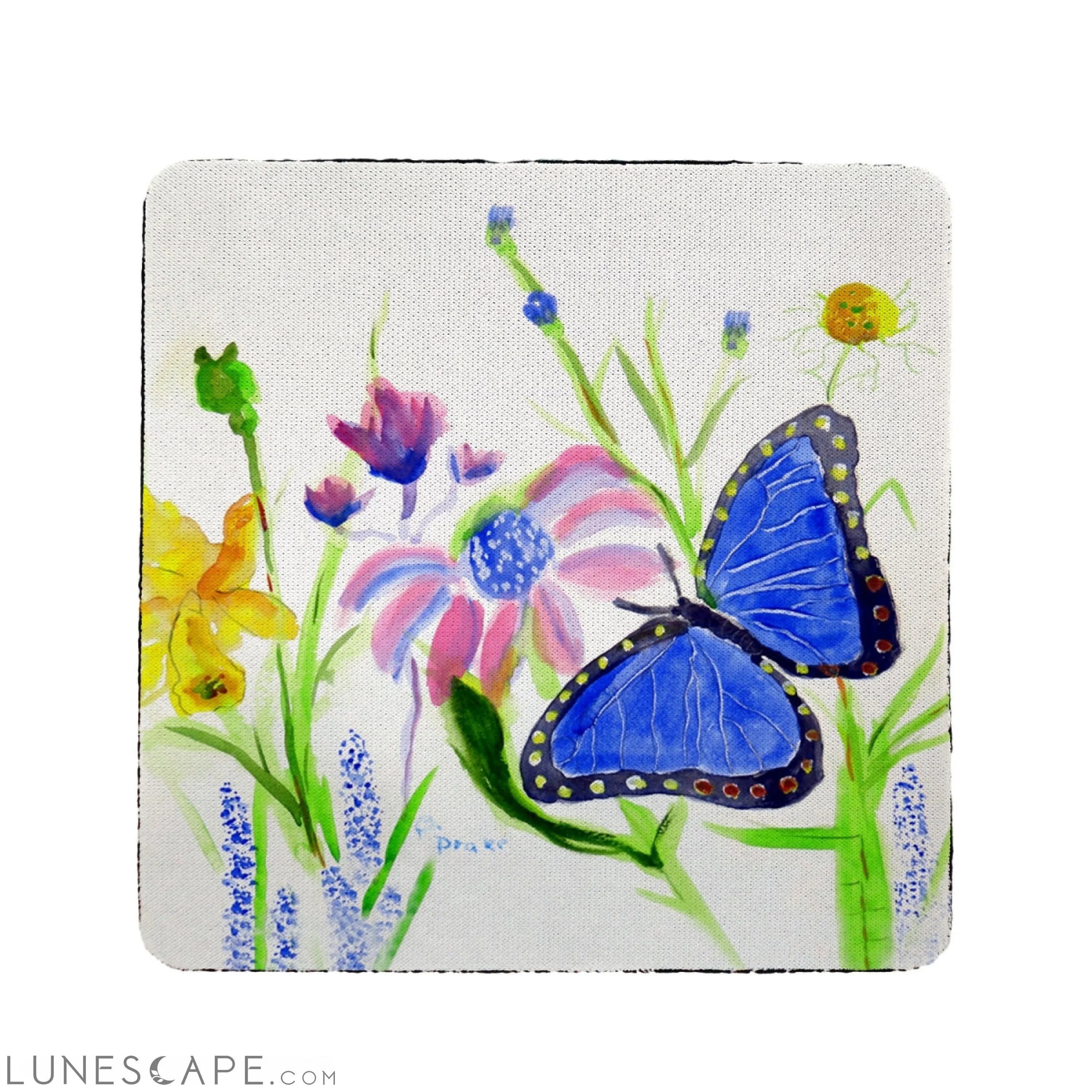Betsy Drake Blue Morpho Coaster - Set of 4 LUNESCAPE