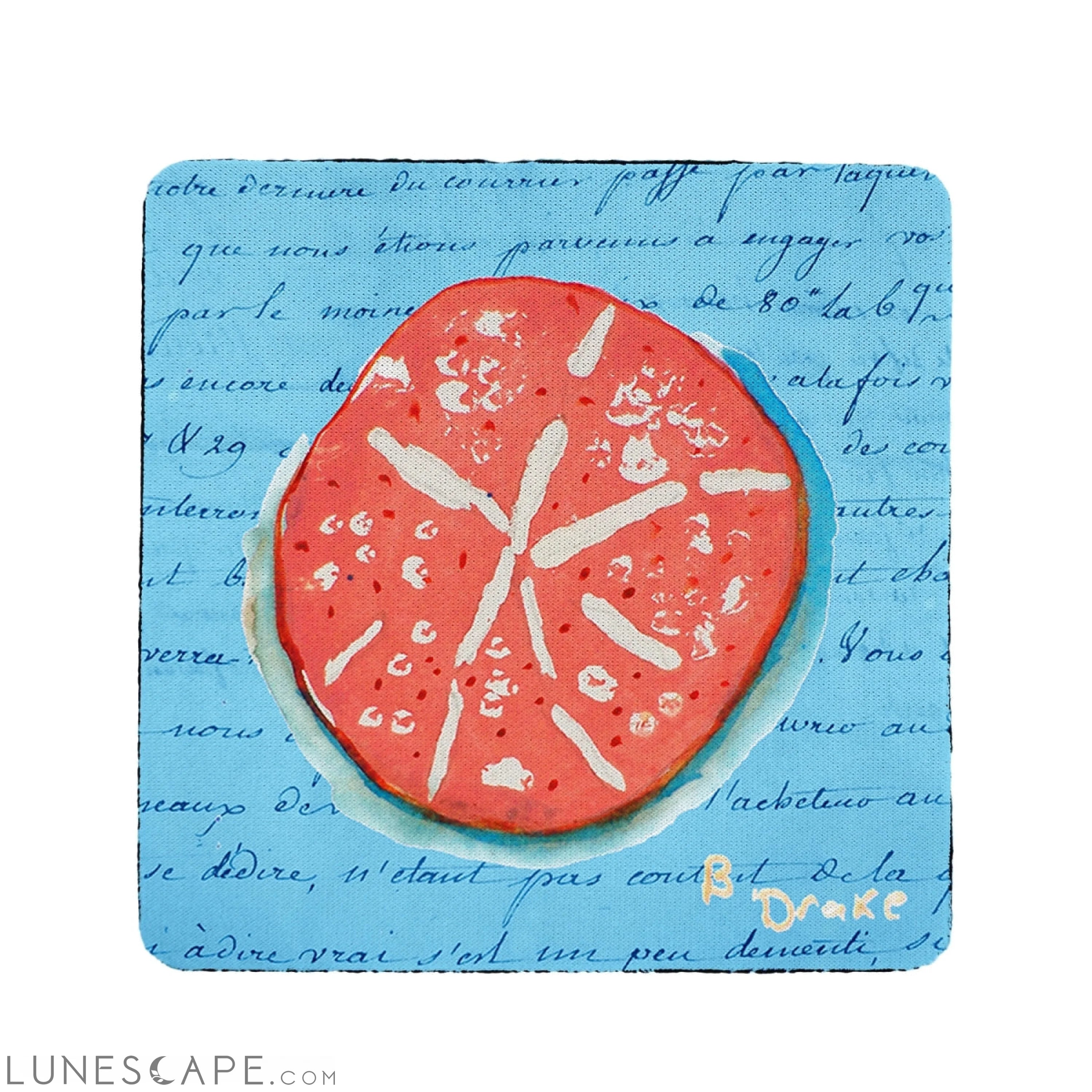 Betsy Drake Coral Sand Dollar Coaster - Set of 4 LUNESCAPE