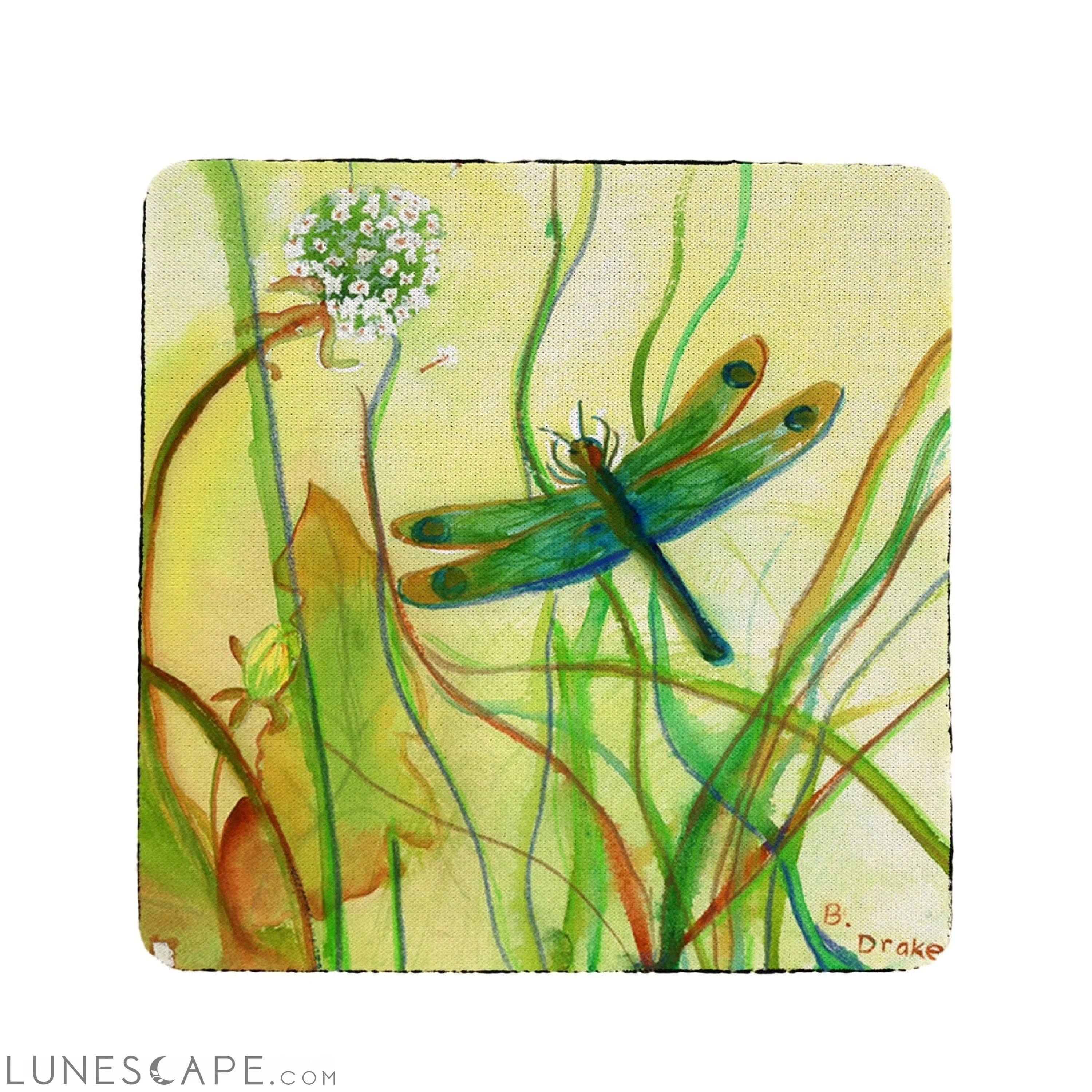 Betsy Drake Dragonfly Coaster - Set of 4 LUNESCAPE