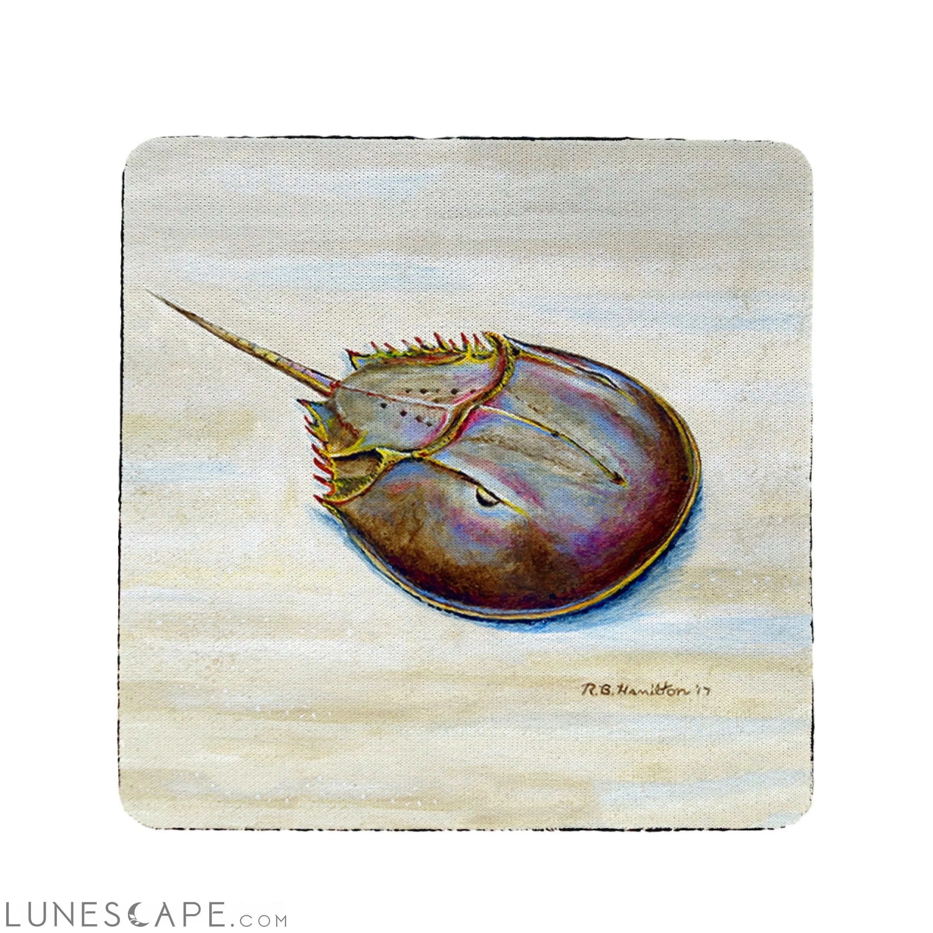 Betsy Drake Horseshoe Crab Coaster - Set of 4 LUNESCAPE