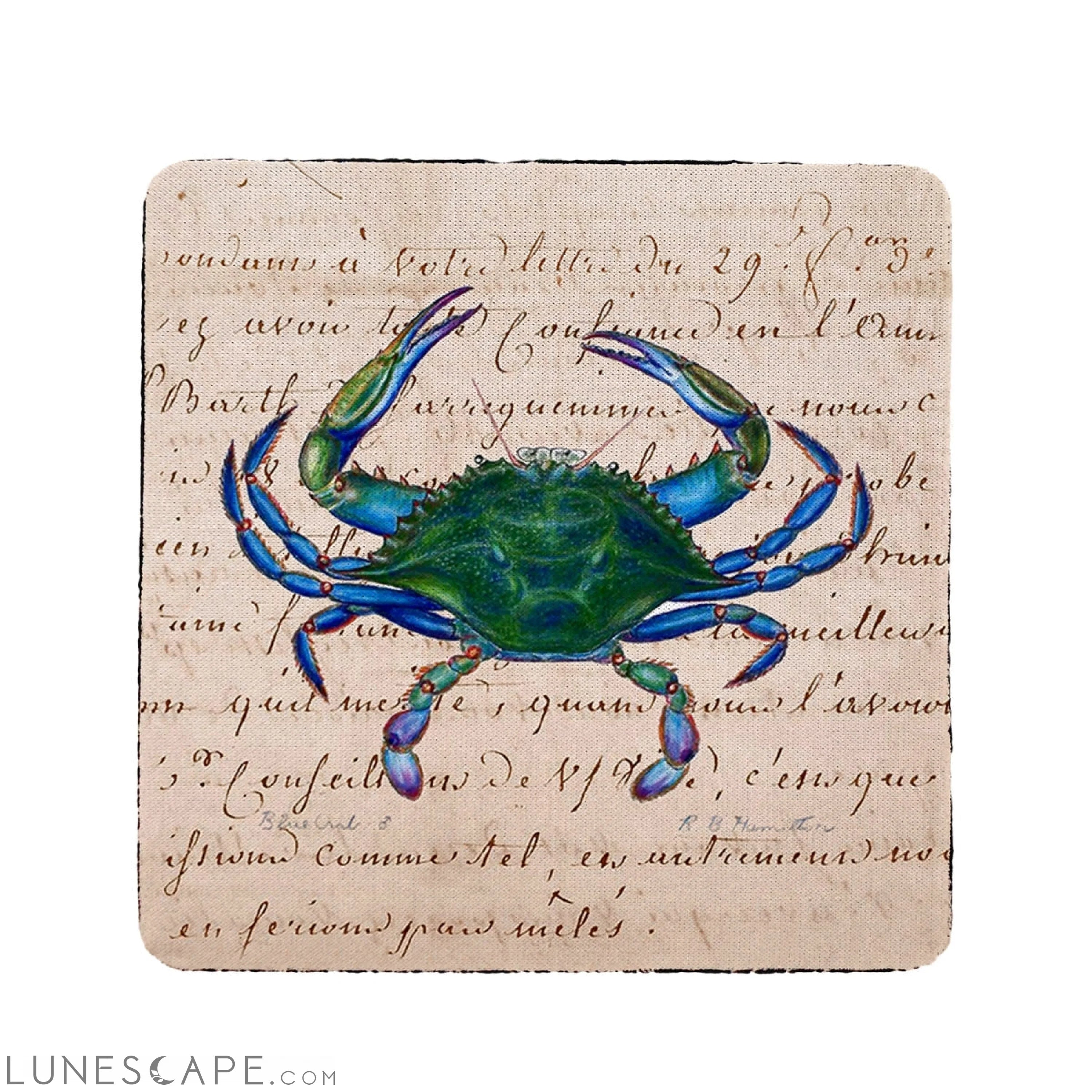 Betsy Drake Male Blue Script Crab Coaster - Set of 4 LUNESCAPE