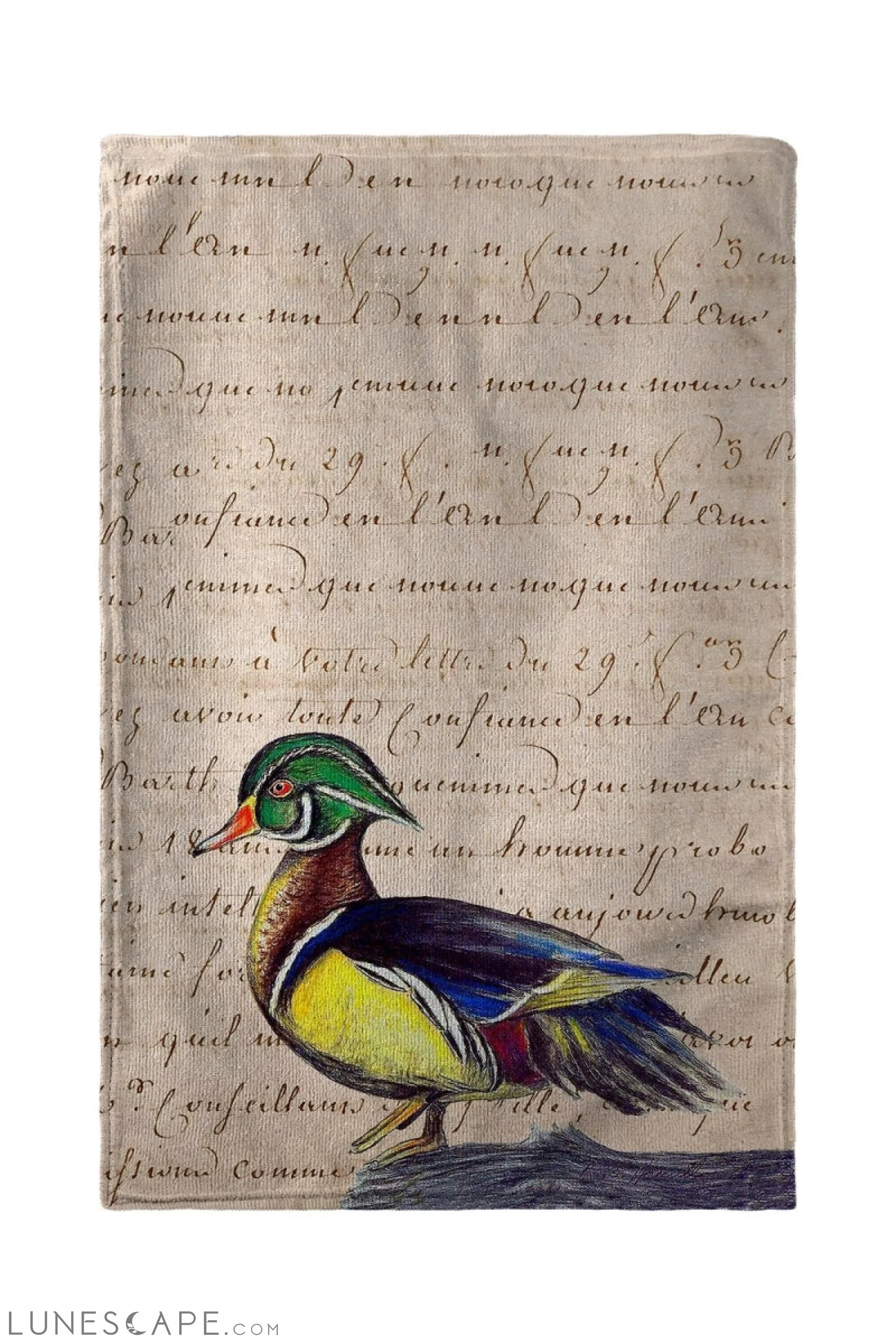 Betsy Drake Male Wood Duck Beach Towel - 30 x 50 in. LUNESCAPE