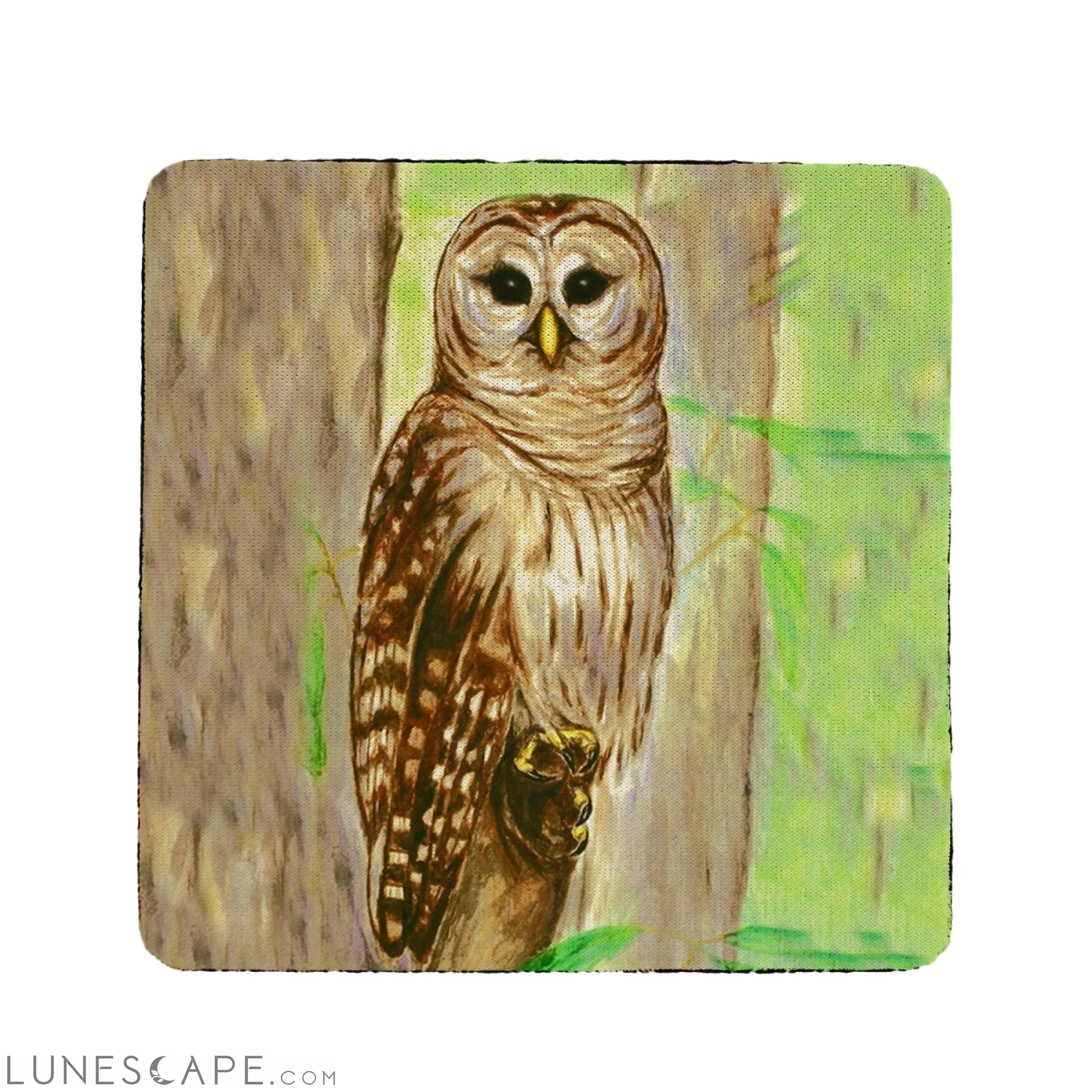 Betsy Drake Owl Coaster - Set of 4 LUNESCAPE