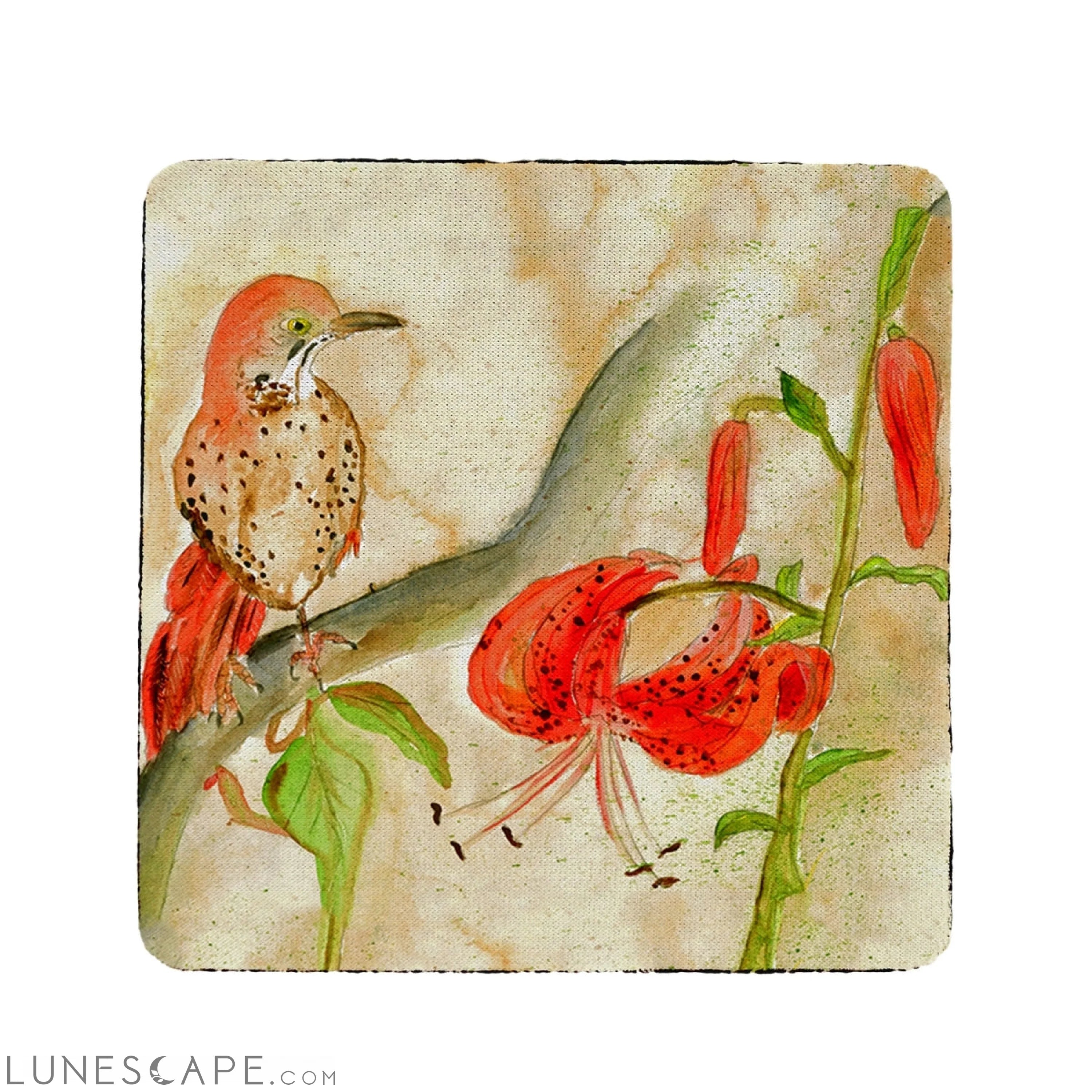 Betsy Drake Scarecrow Coaster - Set of 4 LUNESCAPE