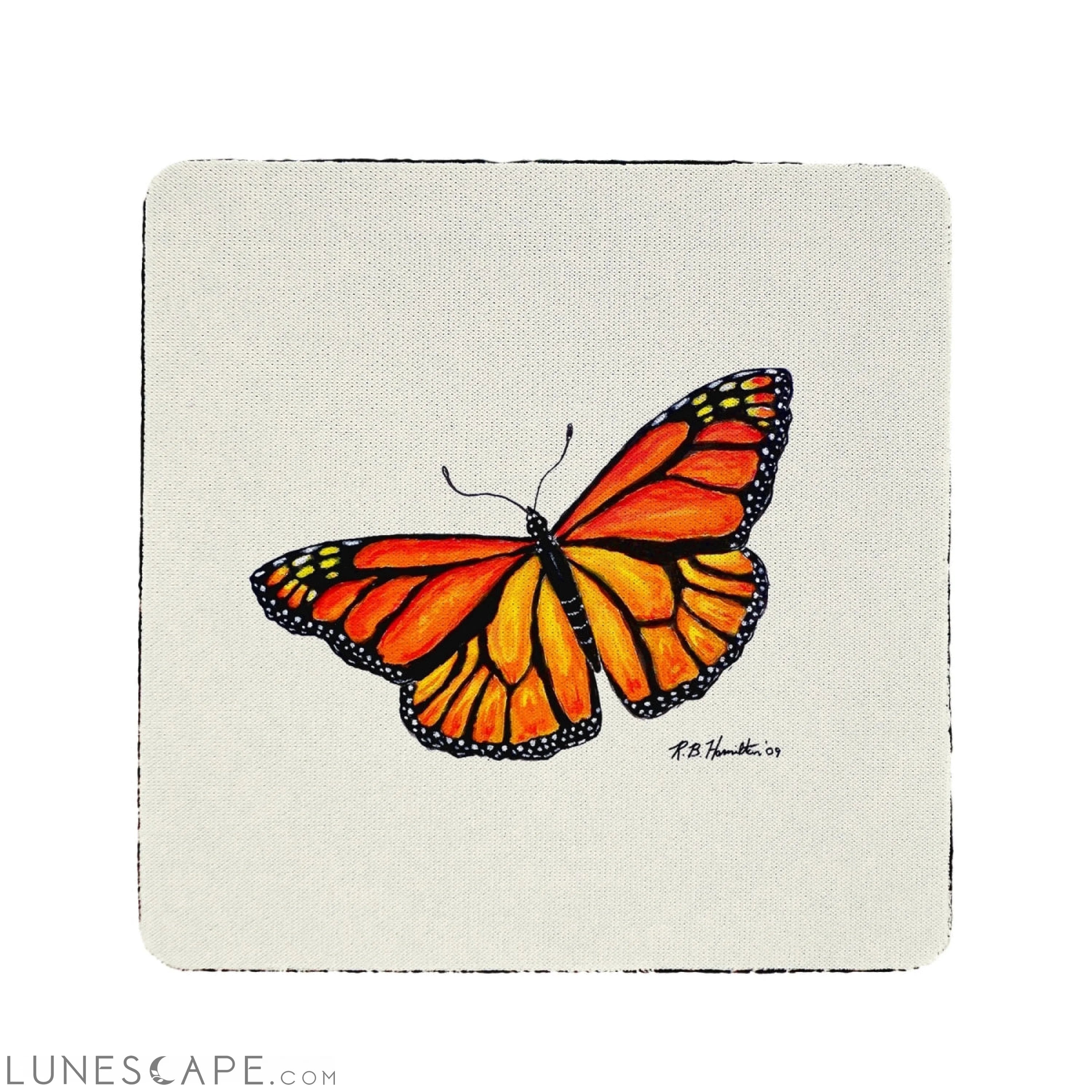 Betsy Drake Spreadwing Monarch Coaster - Set of 4 LUNESCAPE