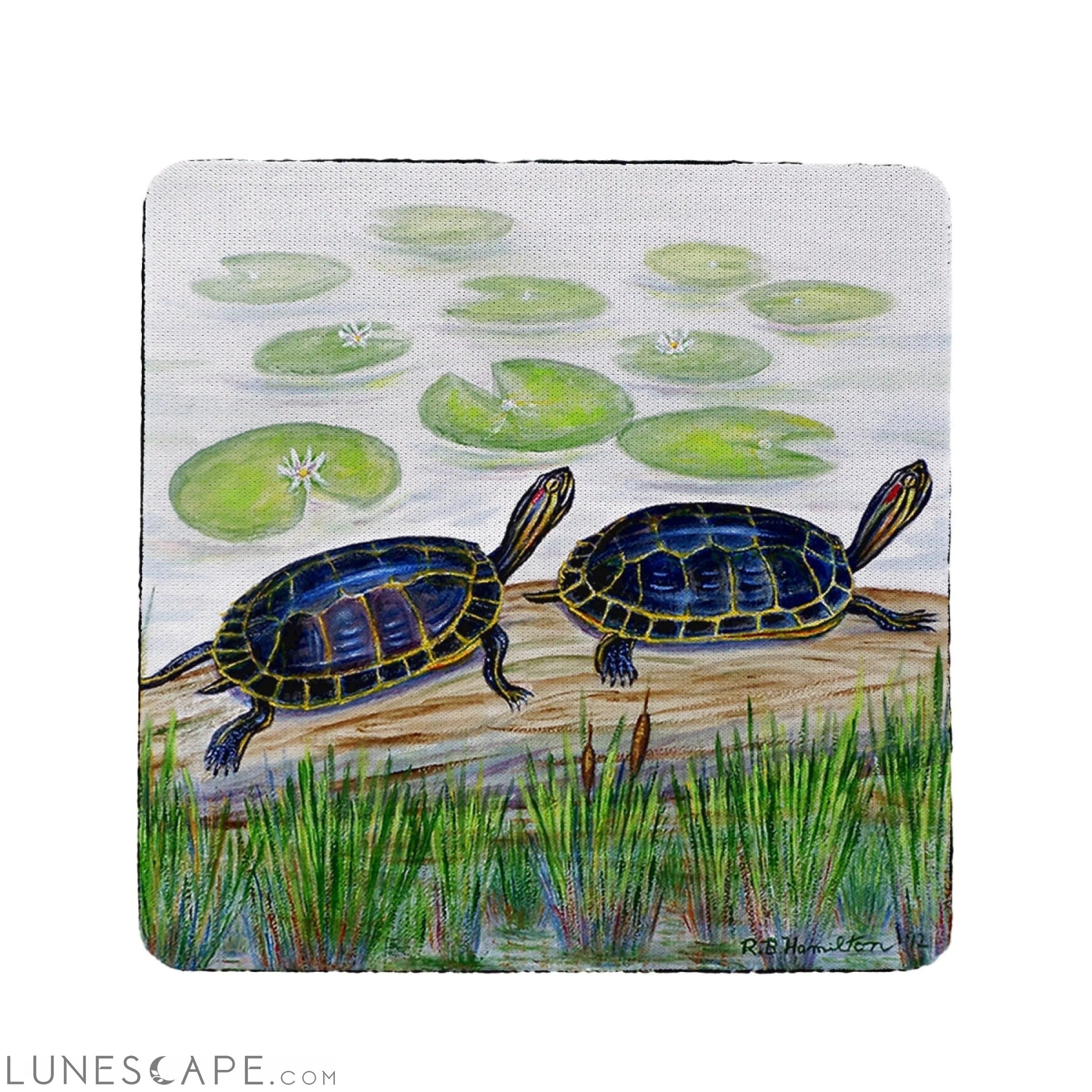 Betsy Drake Two Turtles Coaster - Set of 4 LUNESCAPE