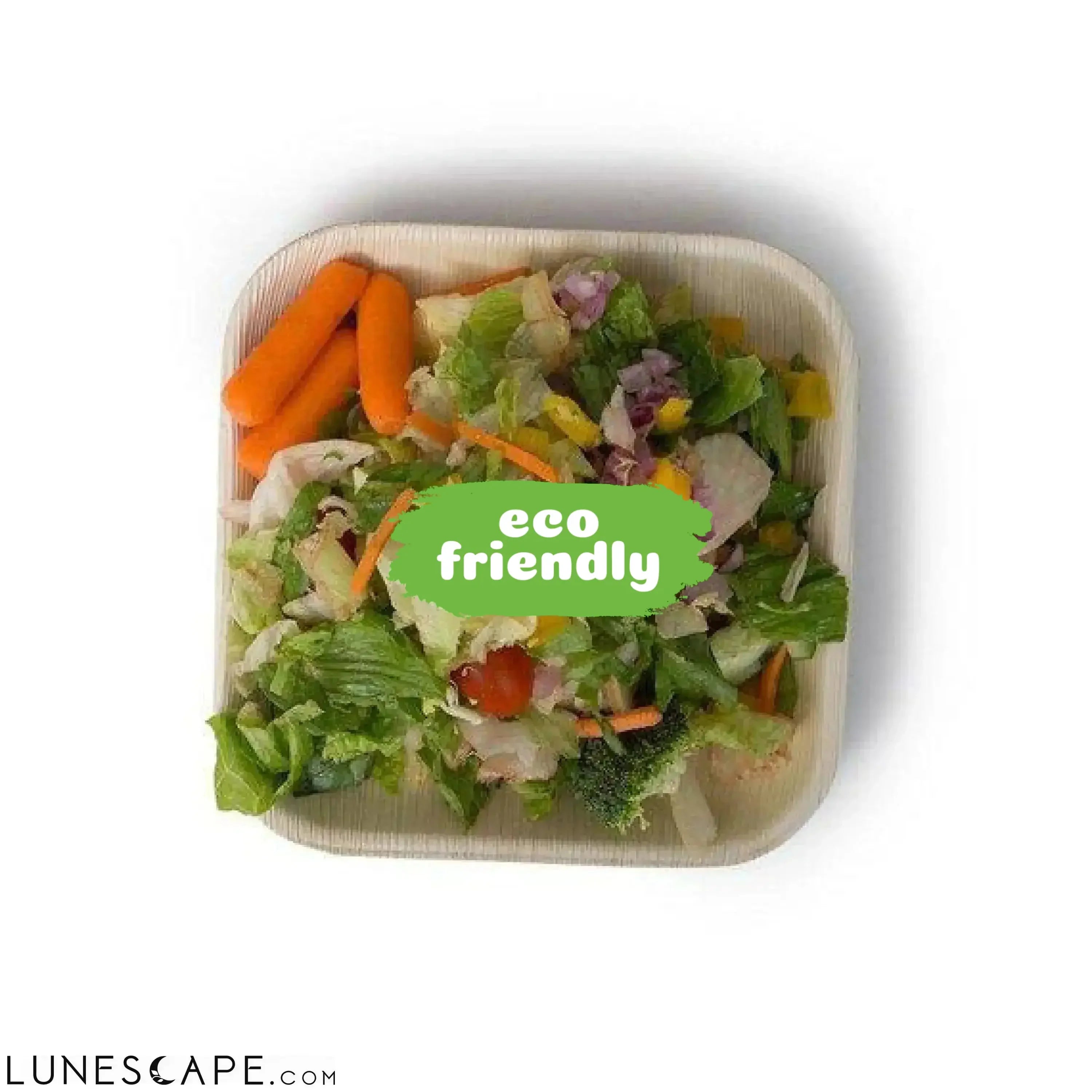 Biodegradable Palm Leaf Plates Square 7" Inch LUNESCAPE