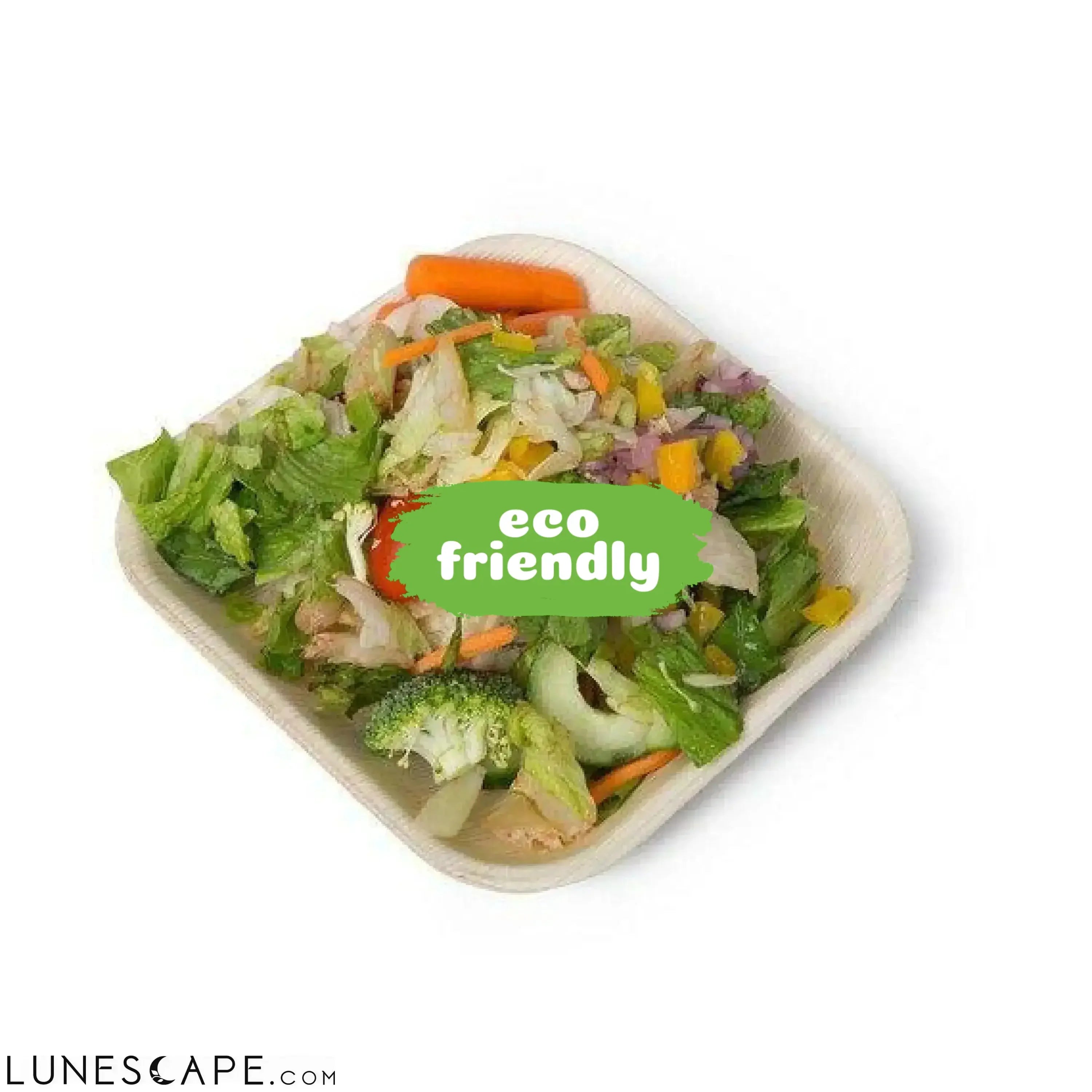Biodegradable Palm Leaf Plates Square 7" Inch LUNESCAPE